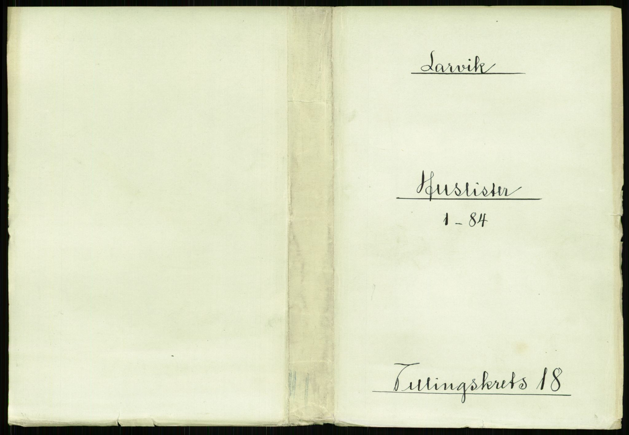 RA, 1891 census for 0707 Larvik, 1891, p. 2099