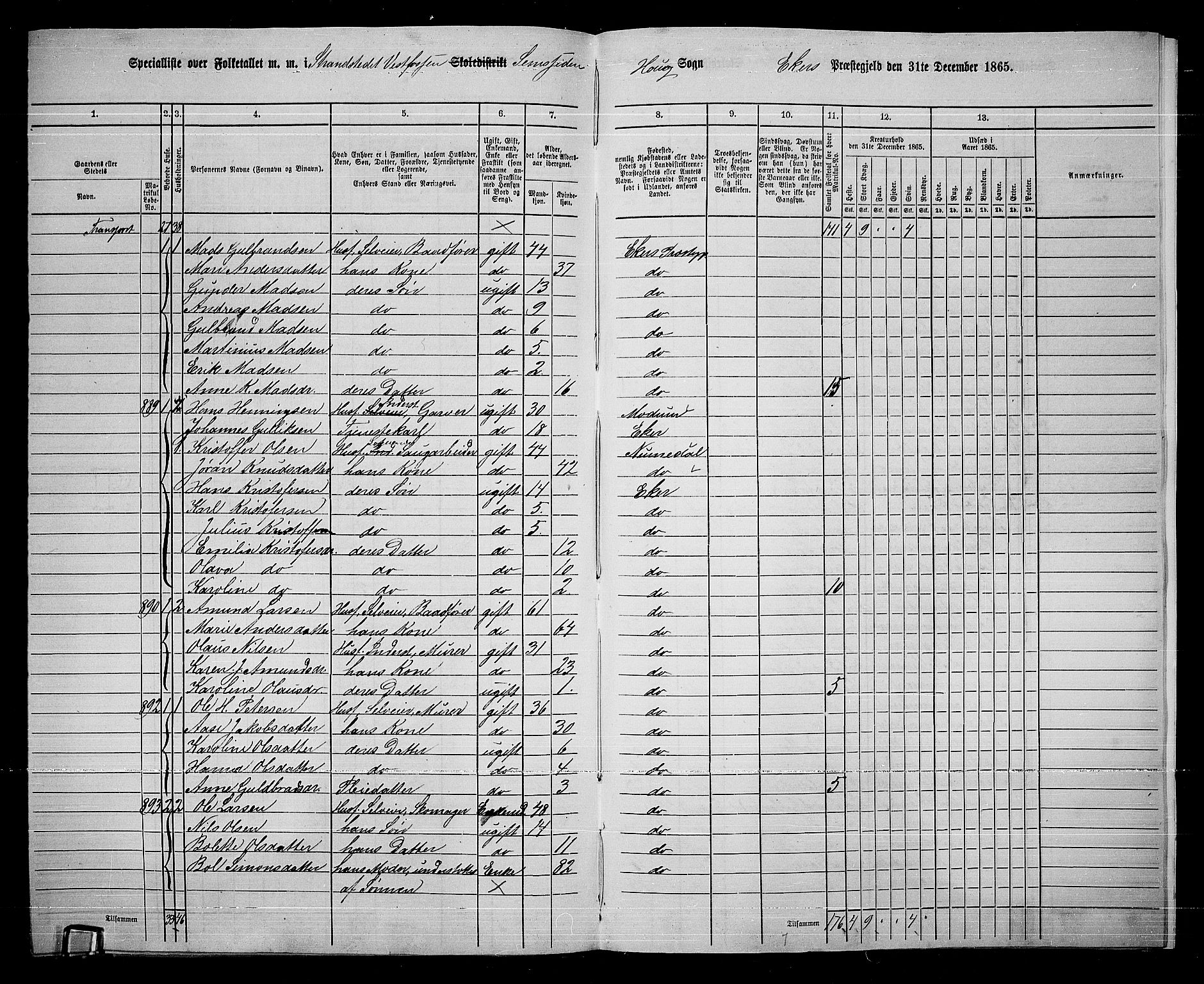 RA, 1865 census for Eiker, 1865, p. 259