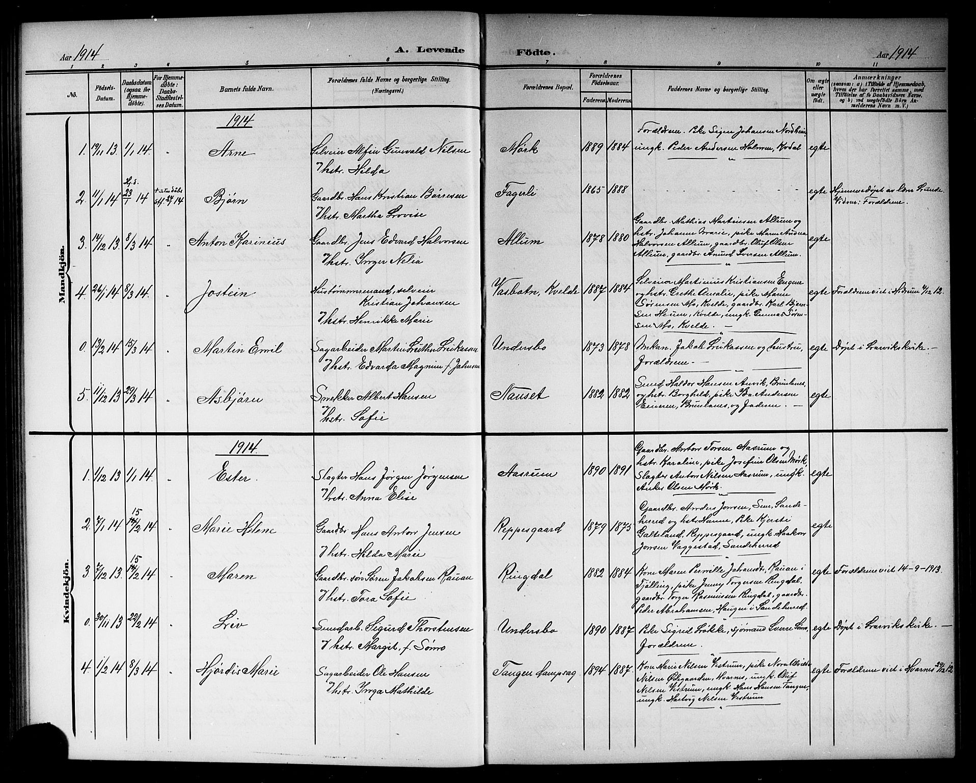 Hedrum kirkebøker, AV/SAKO-A-344/G/Ga/L0004: Parish register (copy) no. I 4, 1902-1915