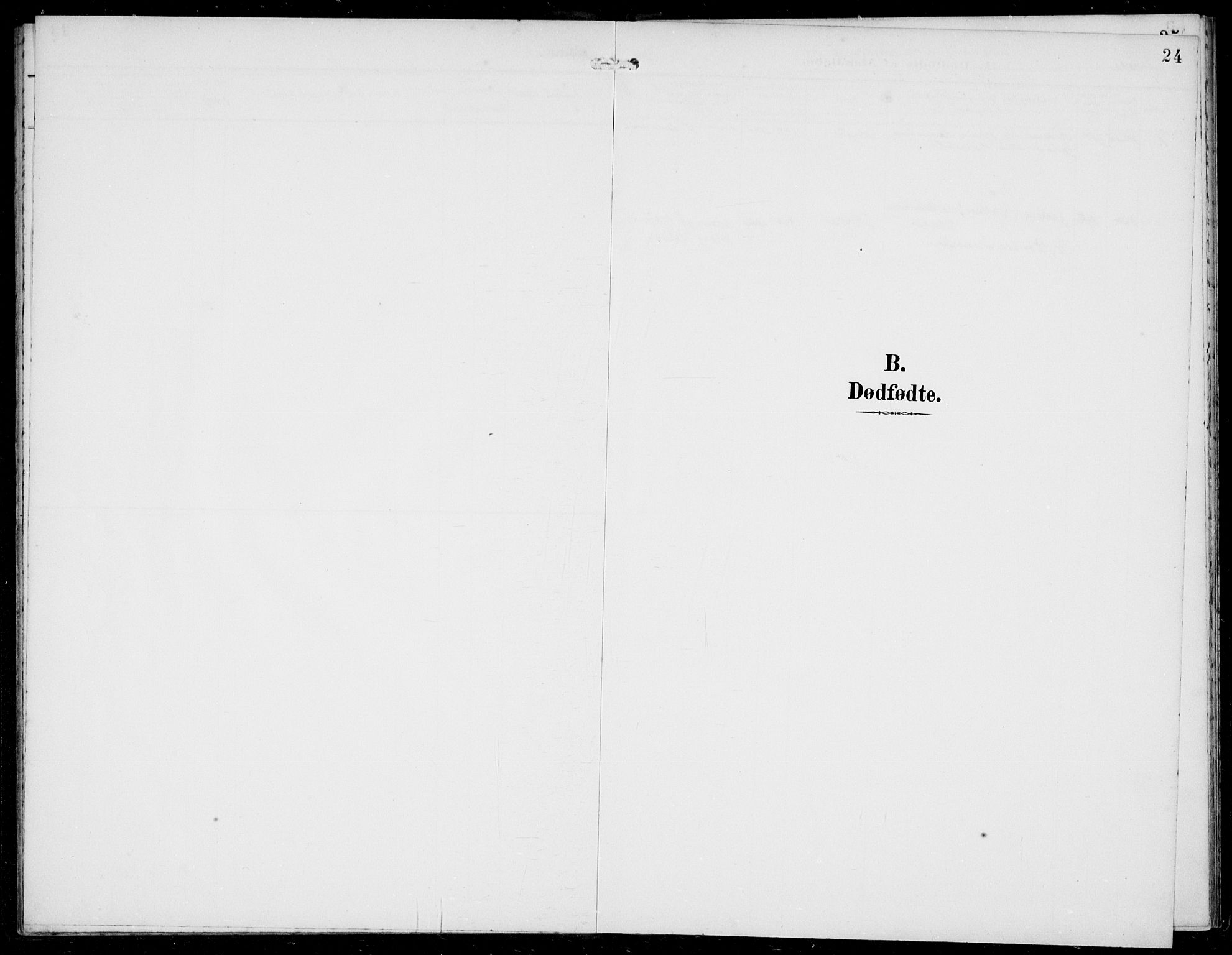 Solund sokneprestembete, SAB/A-81401: Parish register (official) no. B  1, 1891-1901, p. 24