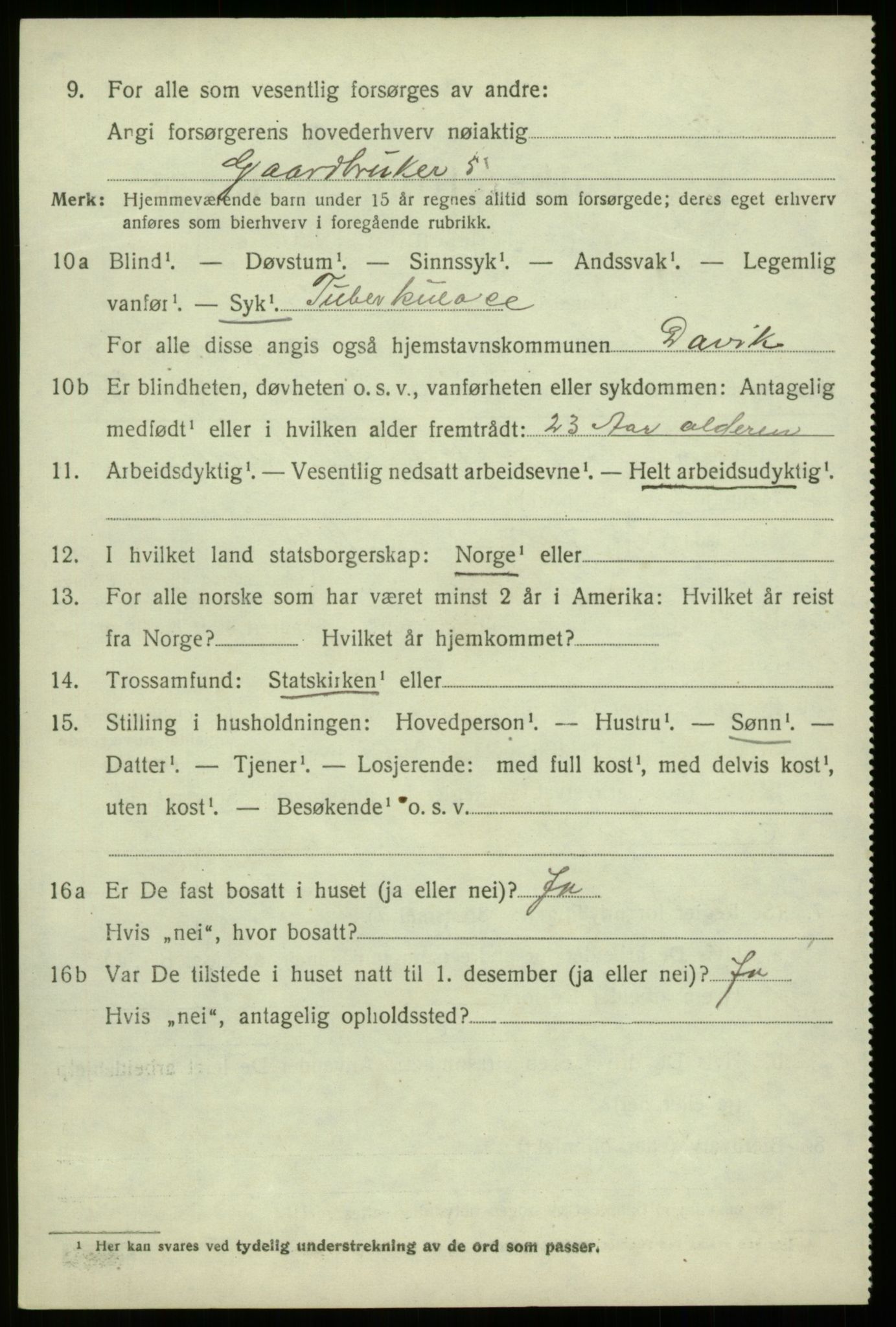 SAB, 1920 census for Davik, 1920, p. 6360