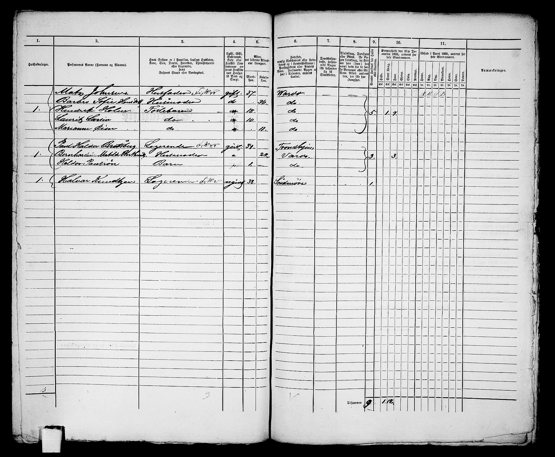 RA, 1865 census for Vardø/Vardø, 1865, p. 183