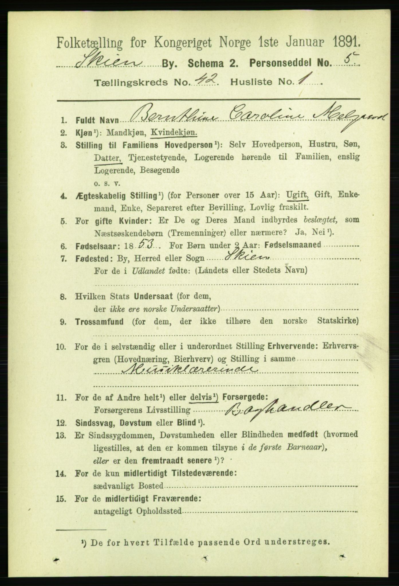 RA, 1891 census for 0806 Skien, 1891, p. 8507