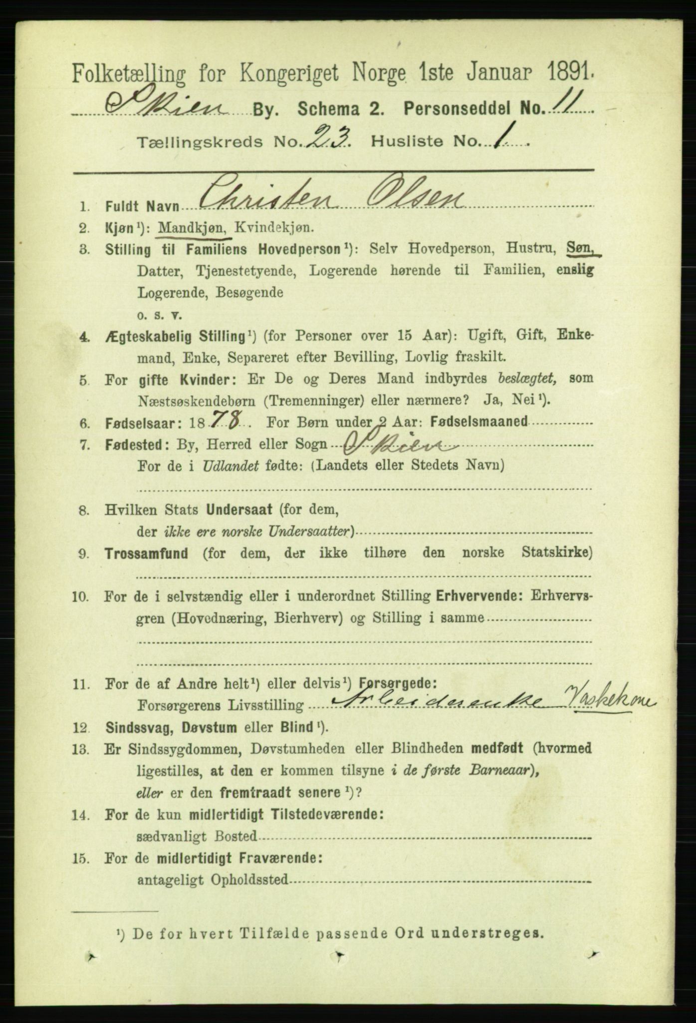 RA, 1891 census for 0806 Skien, 1891, p. 5825