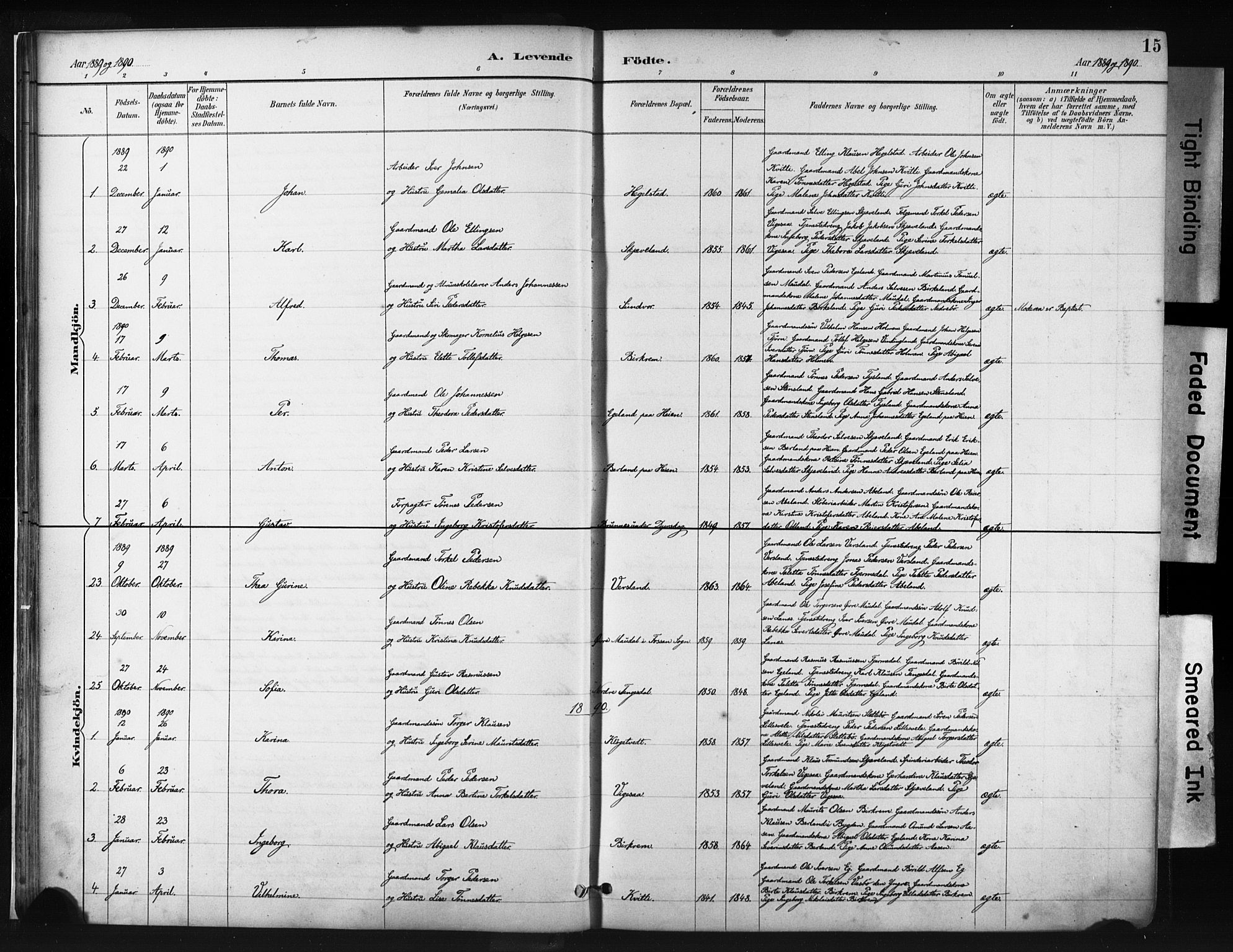 Helleland sokneprestkontor, AV/SAST-A-101810: Parish register (official) no. A 9, 1887-1908, p. 15