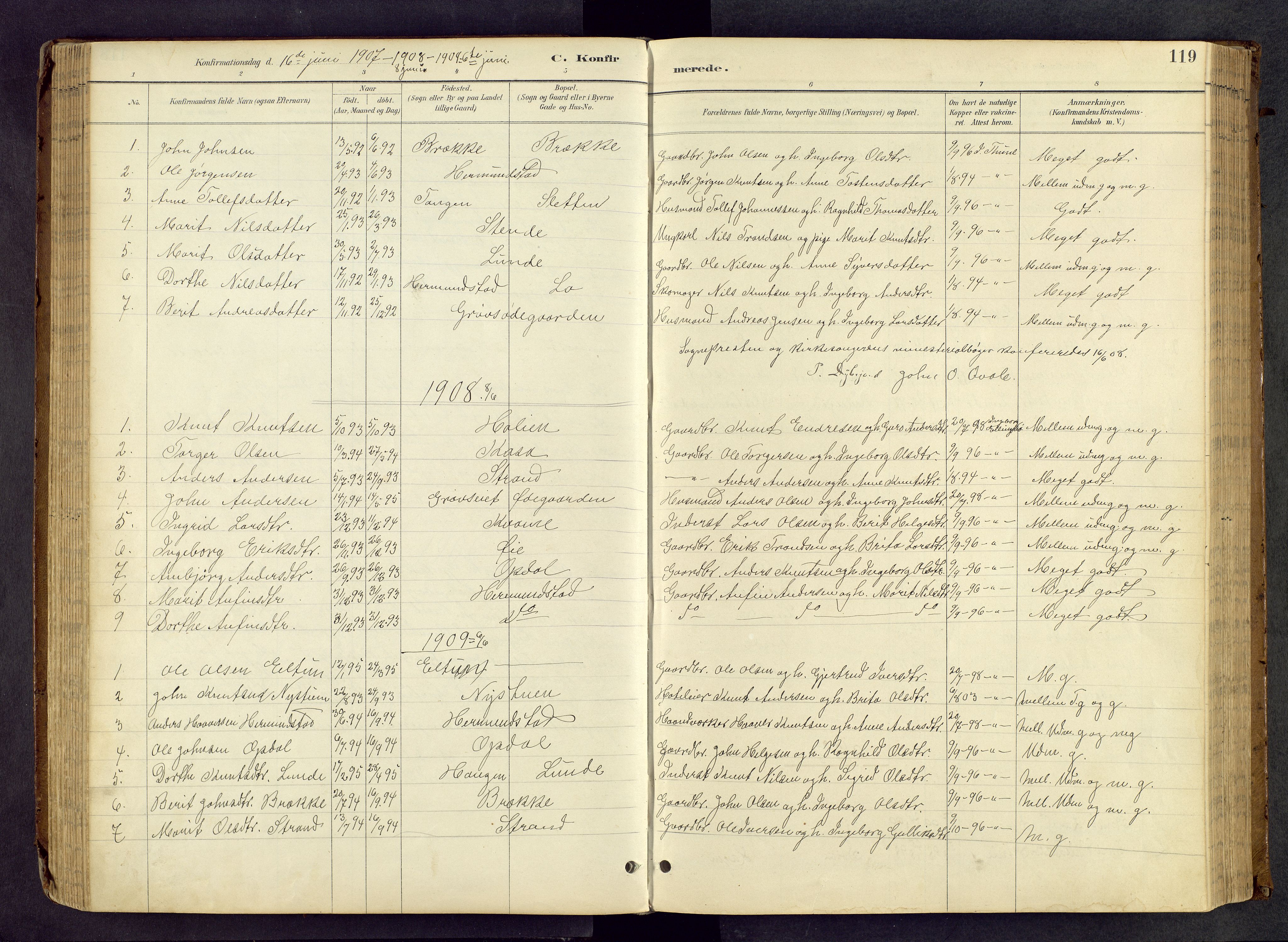 Vang prestekontor, Valdres, SAH/PREST-140/H/Hb/L0005: Parish register (copy) no. 5, 1889-1945, p. 119