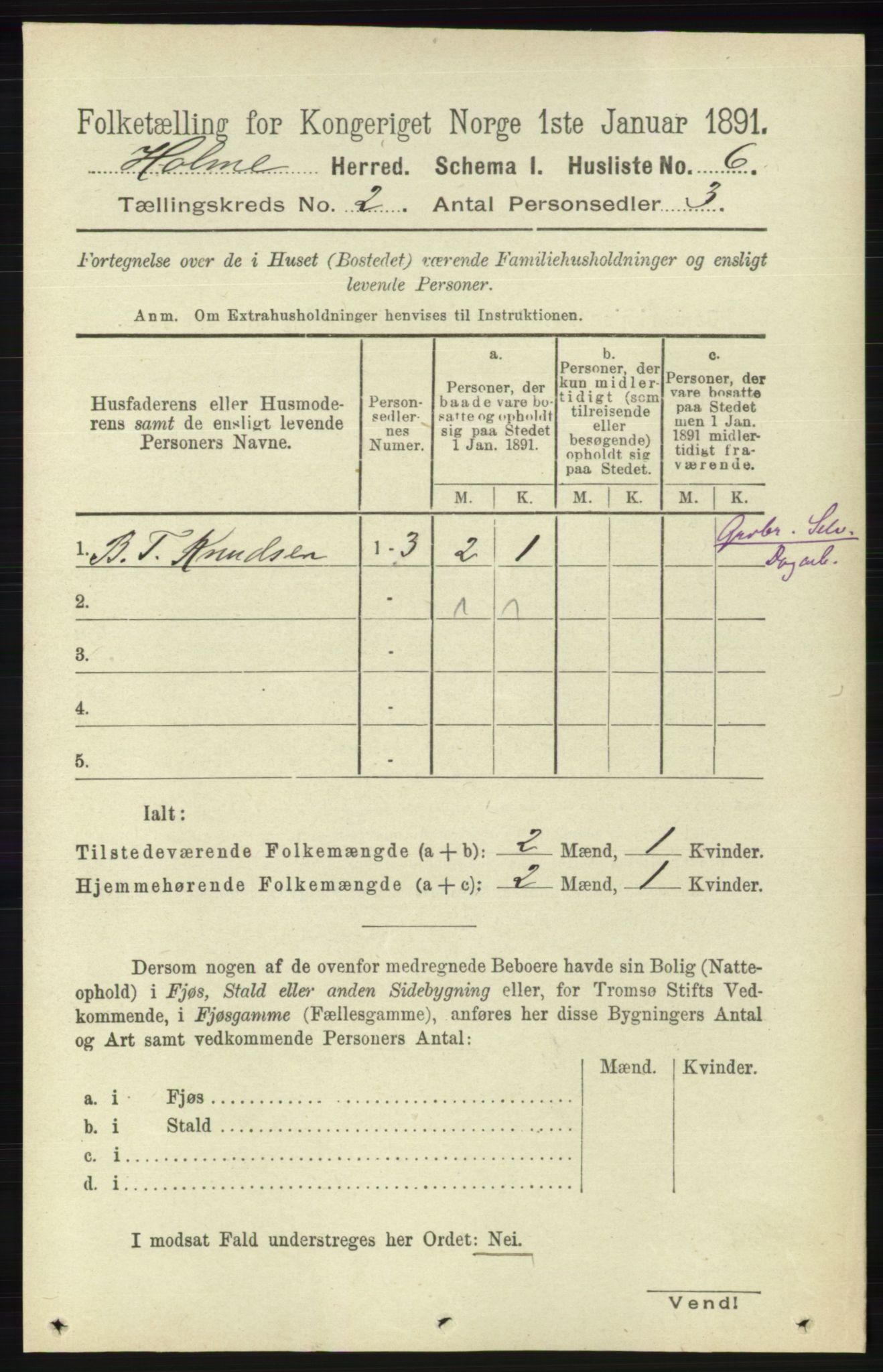 RA, 1891 census for 1020 Holum, 1891, p. 173