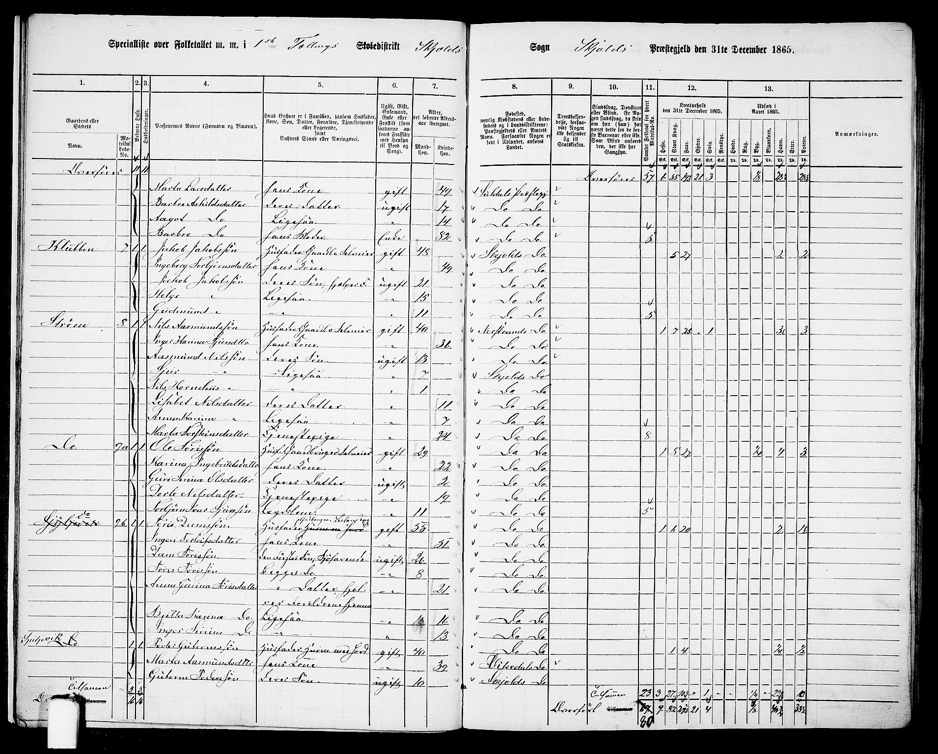 RA, 1865 census for Skjold, 1865, p. 14