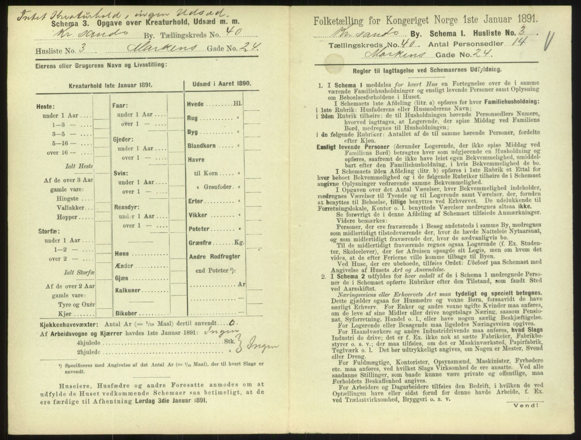 RA, 1891 census for 1001 Kristiansand, 1891, p. 2154