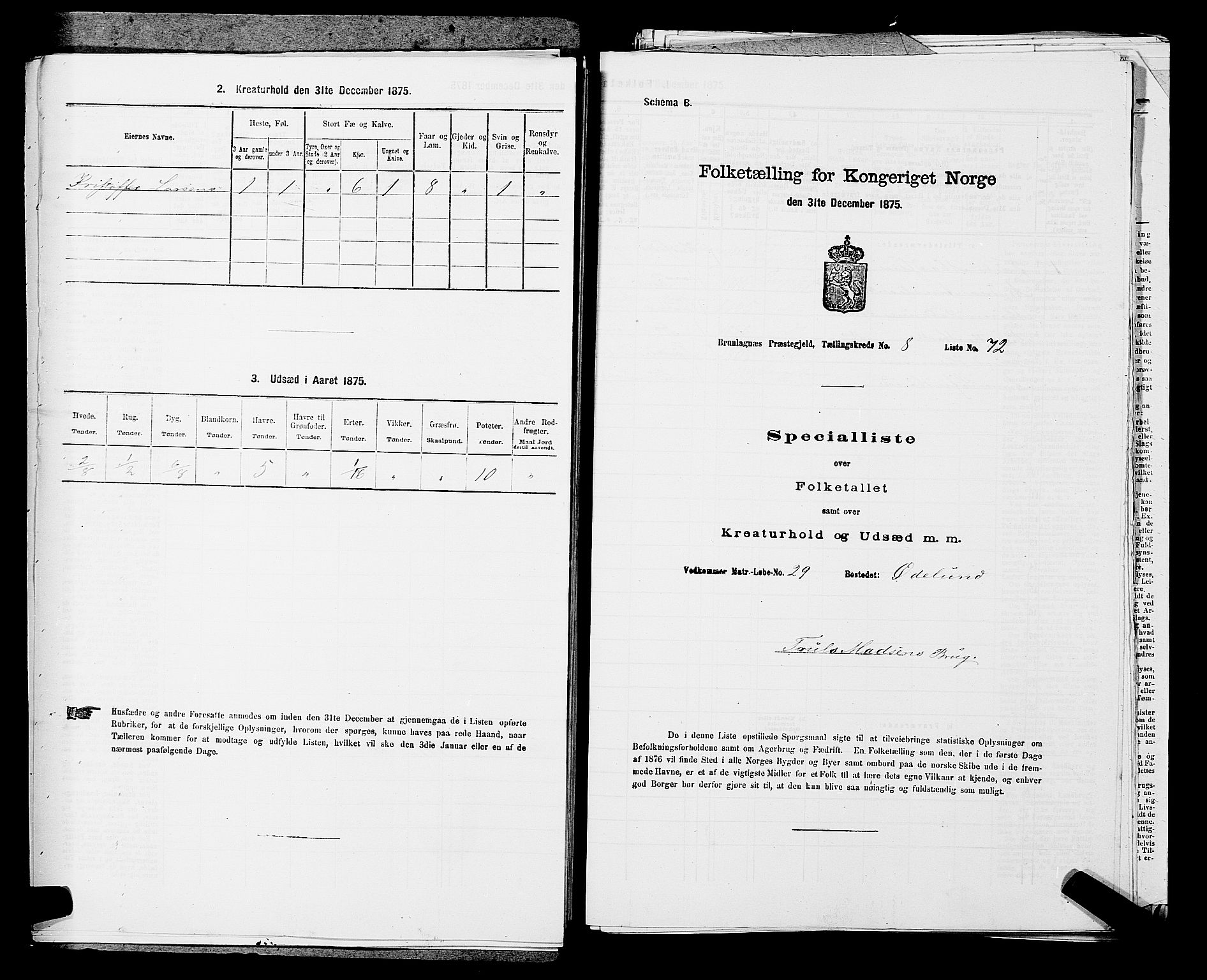 SAKO, 1875 census for 0726P Brunlanes, 1875, p. 1042