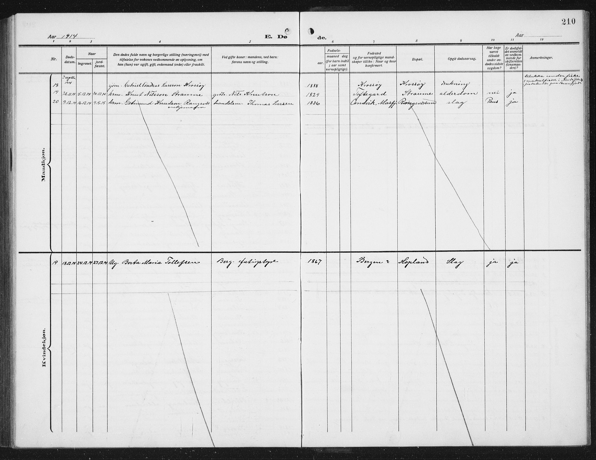 Lindås Sokneprestembete, SAB/A-76701/H/Hab: Parish register (copy) no. C 5, 1910-1927, p. 210