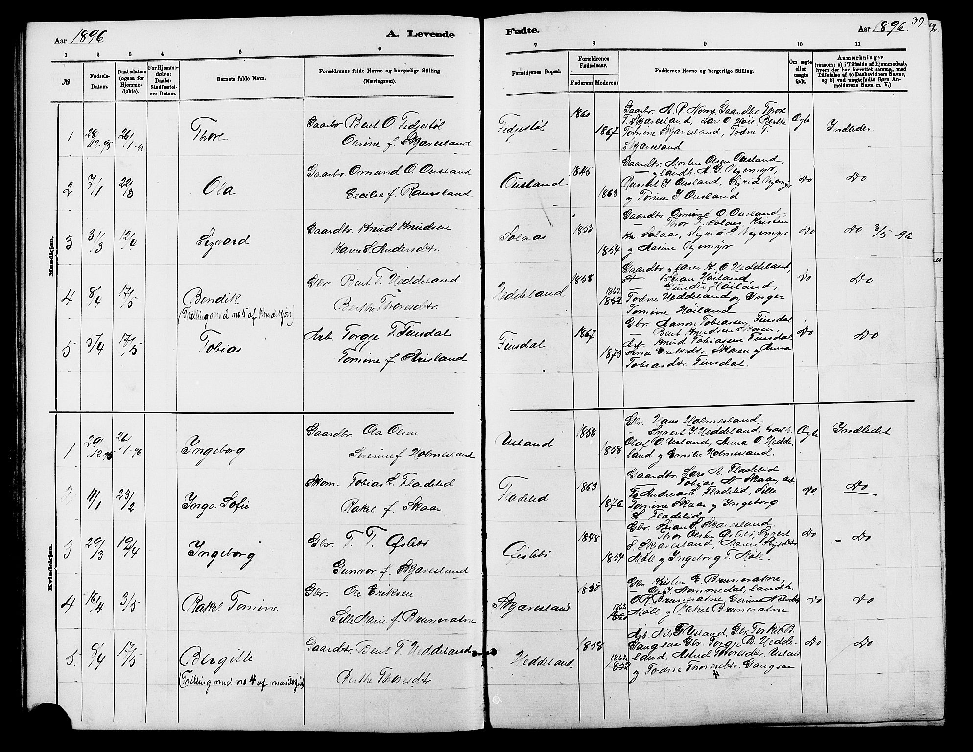 Holum sokneprestkontor, AV/SAK-1111-0022/F/Fb/Fbc/L0003: Parish register (copy) no. B 3, 1882-1908, p. 39