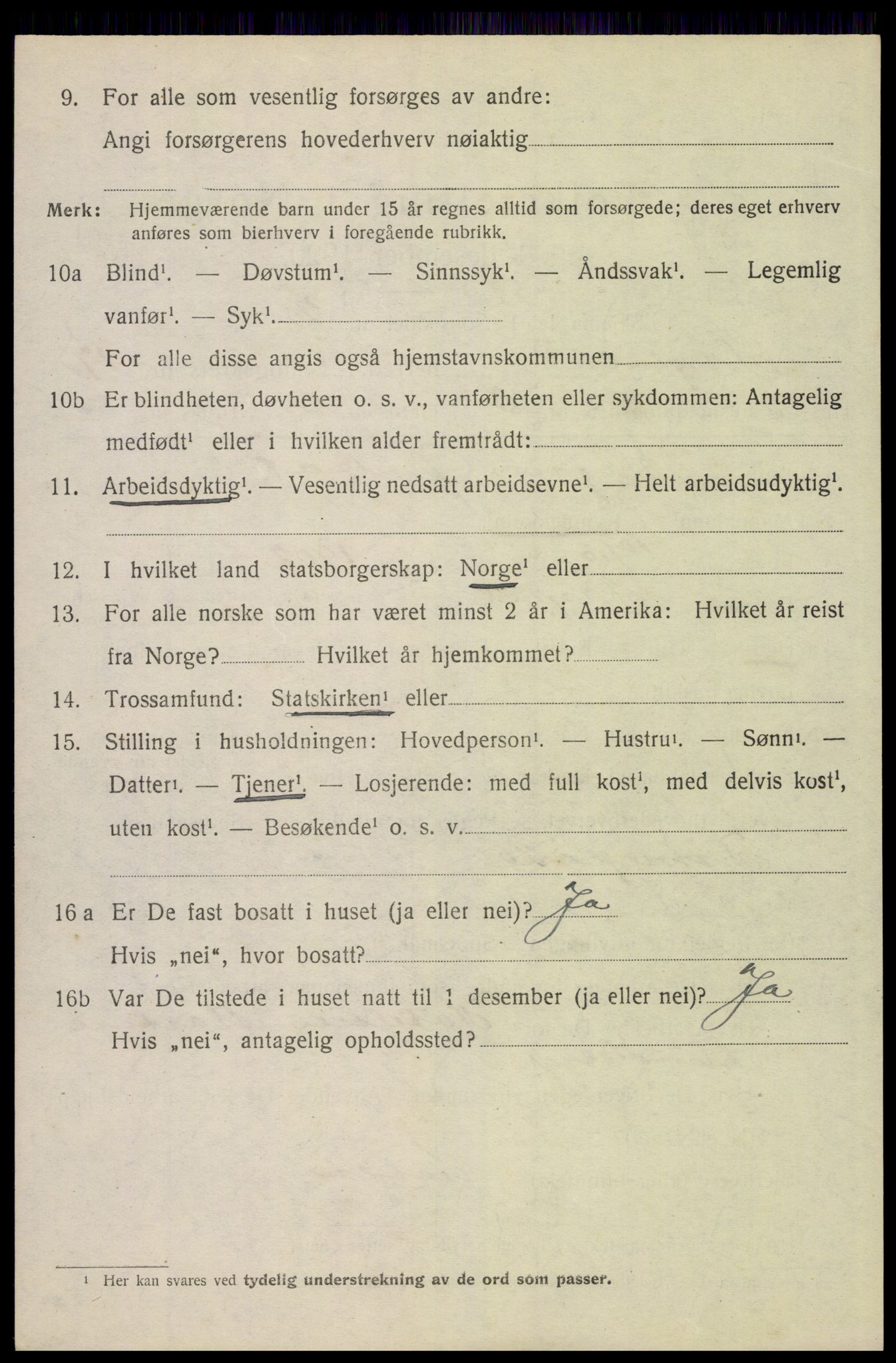 SAH, 1920 census for Trysil, 1920, p. 10204
