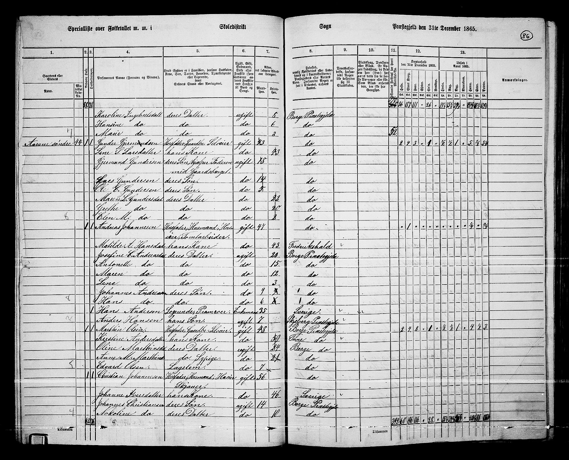 RA, 1865 census for Borge, 1865, p. 81