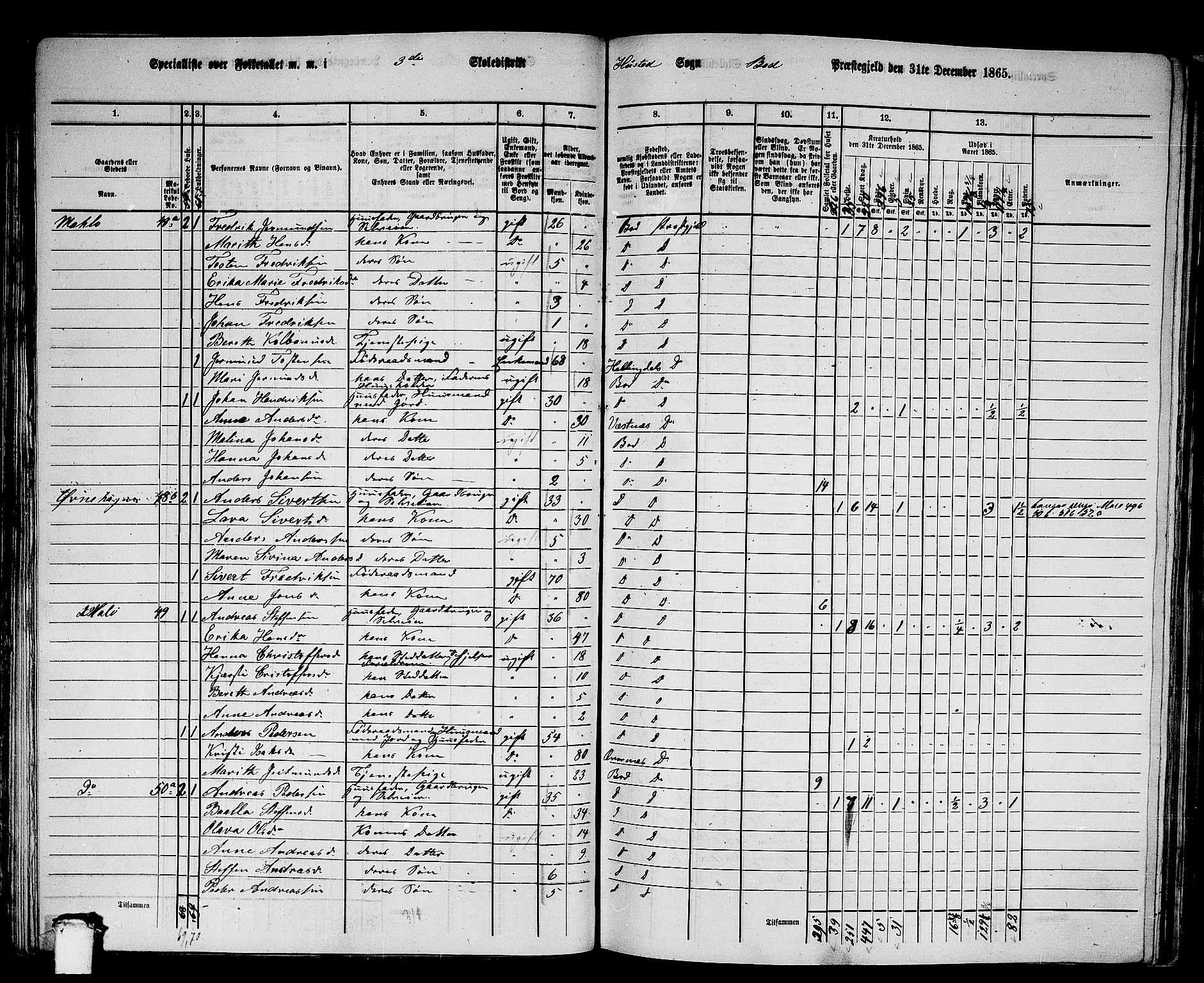 RA, 1865 census for Bud, 1865, p. 42