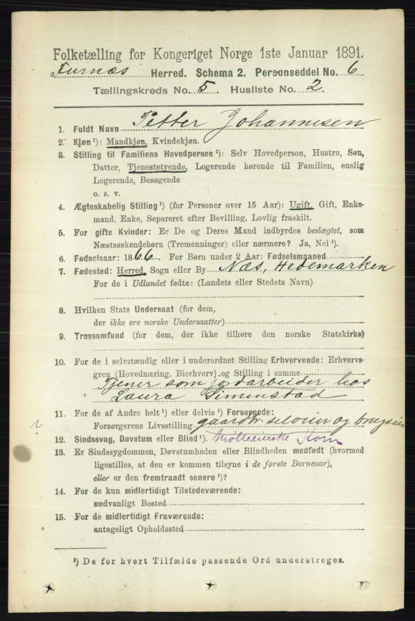 RA, Census 1891 for 0413 Furnes herred, 1891, p. 3166