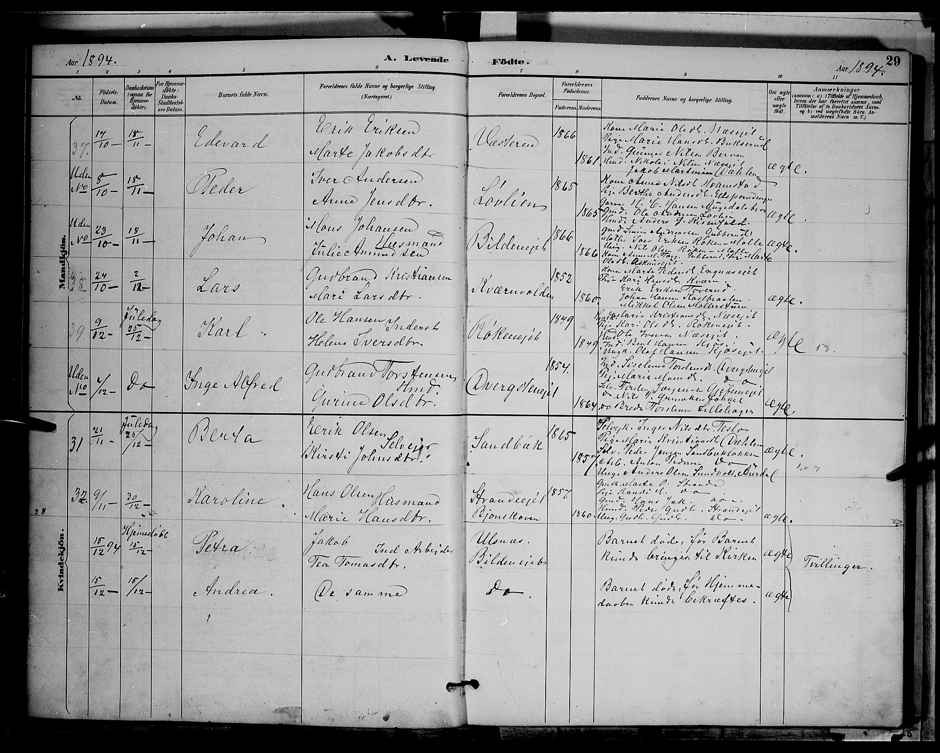 Gran prestekontor, AV/SAH-PREST-112/H/Ha/Hab/L0004: Parish register (copy) no. 4, 1890-1899, p. 29