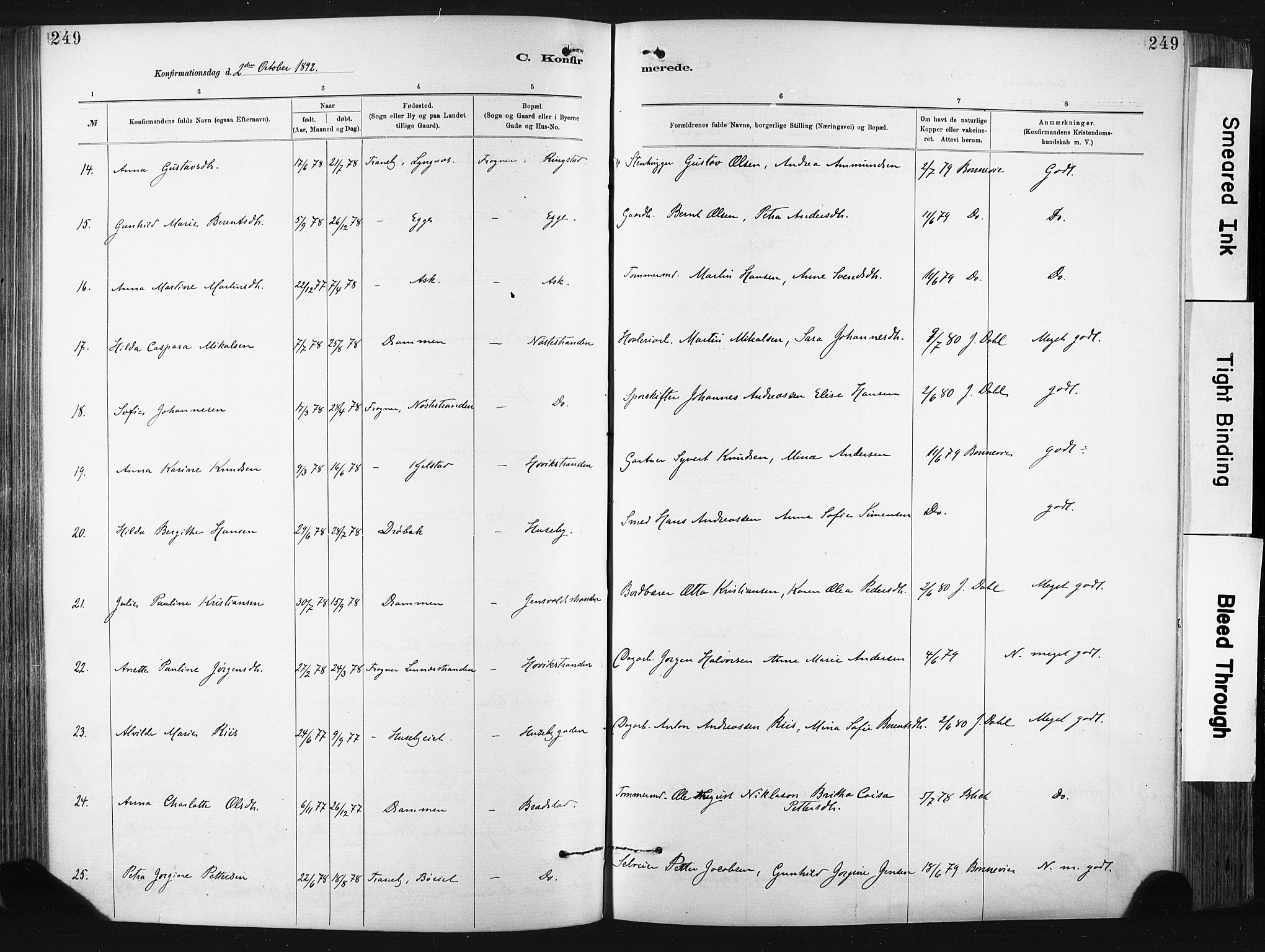 Lier kirkebøker, SAKO/A-230/F/Fa/L0015: Parish register (official) no. I 15, 1883-1894, p. 249