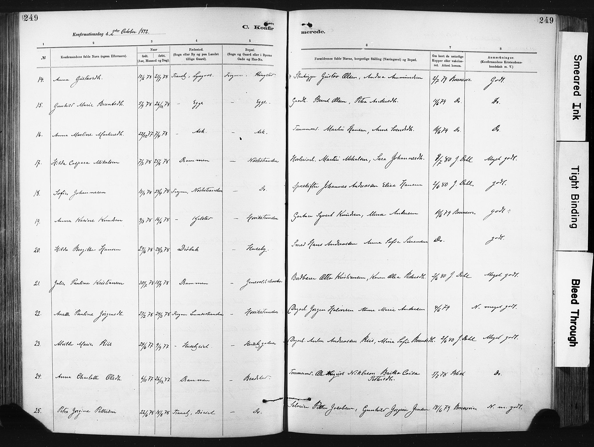 Lier kirkebøker, AV/SAKO-A-230/F/Fa/L0015: Parish register (official) no. I 15, 1883-1894, p. 249