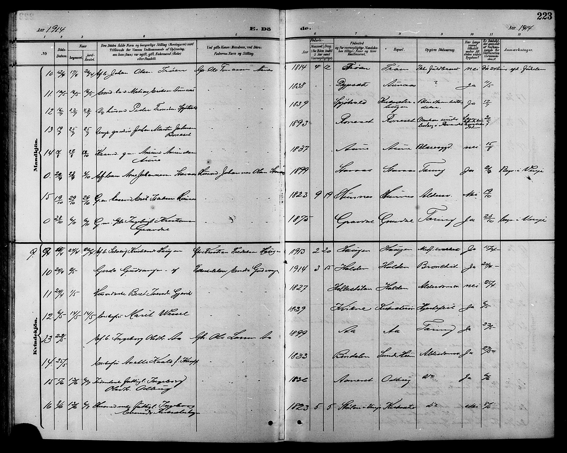Ministerialprotokoller, klokkerbøker og fødselsregistre - Sør-Trøndelag, SAT/A-1456/630/L0505: Parish register (copy) no. 630C03, 1899-1914, p. 223