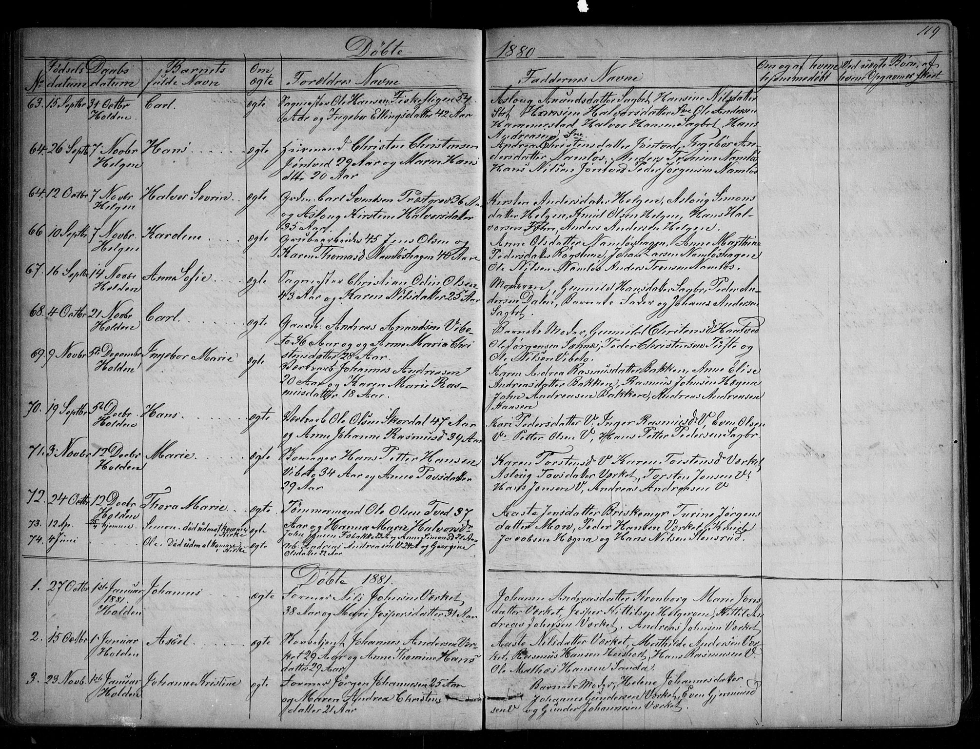 Holla kirkebøker, AV/SAKO-A-272/G/Ga/L0004: Parish register (copy) no. I 4, 1867-1890, p. 119