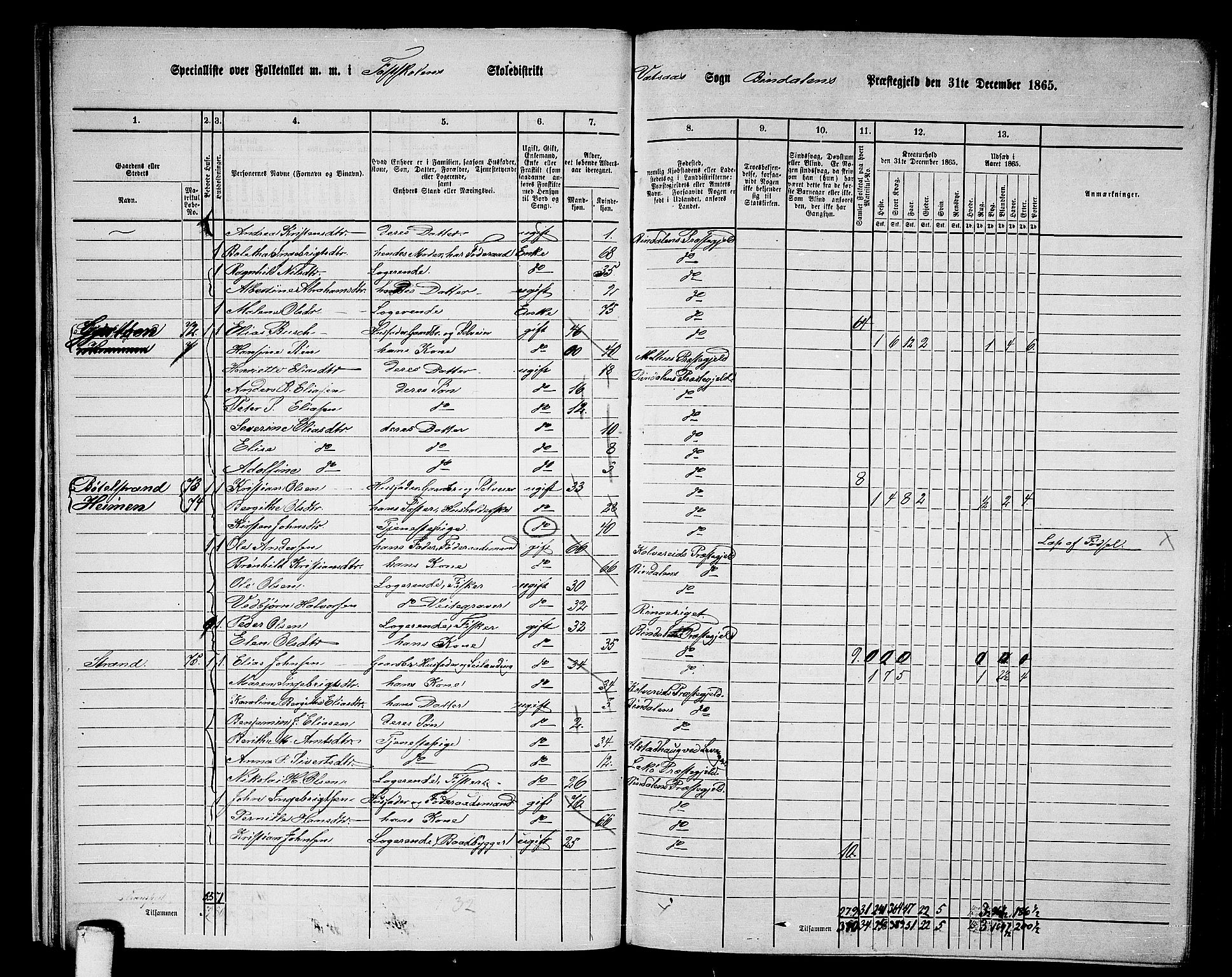 RA, 1865 census for Bindal, 1865, p. 20