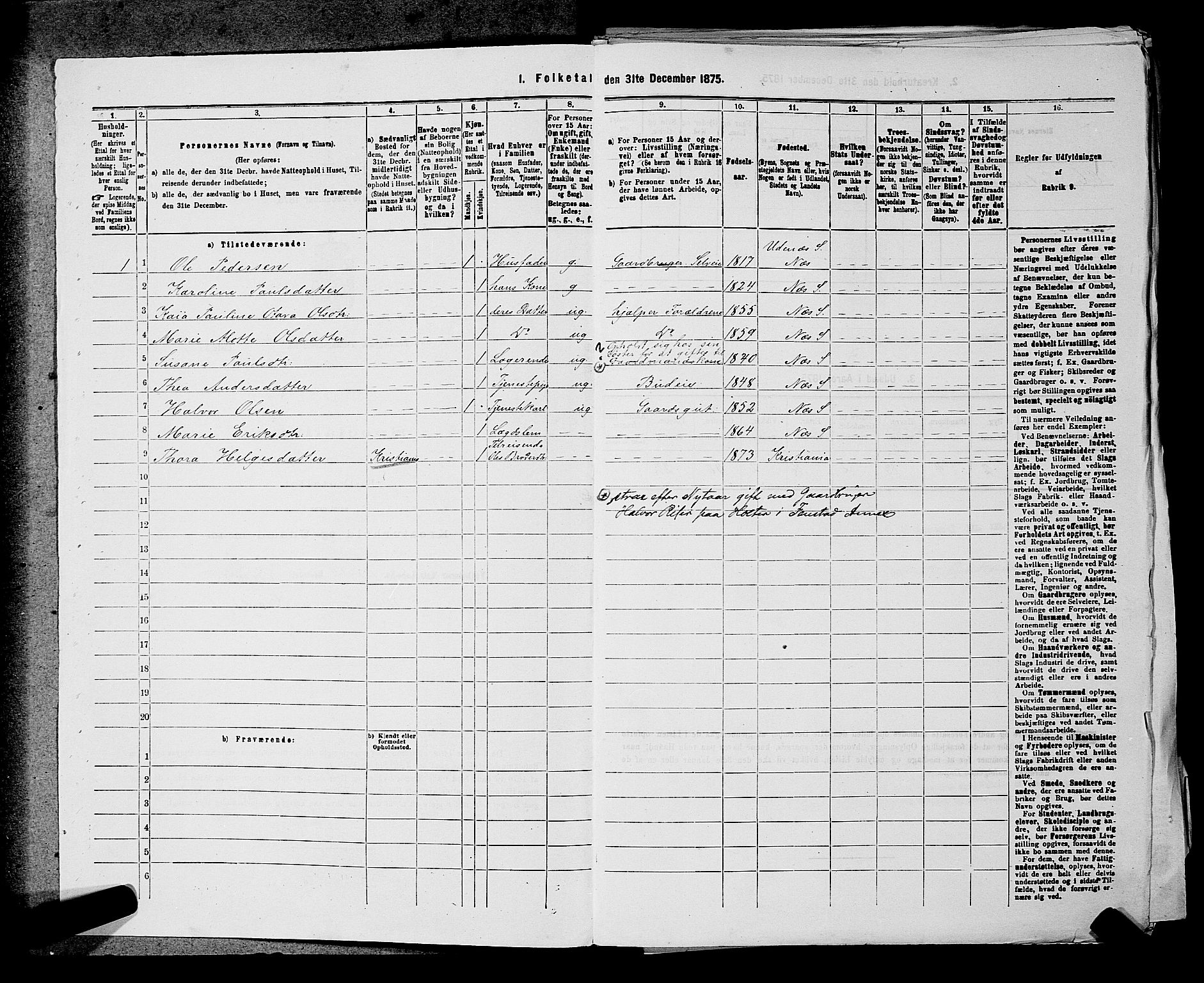 RA, 1875 census for 0236P Nes, 1875, p. 1028