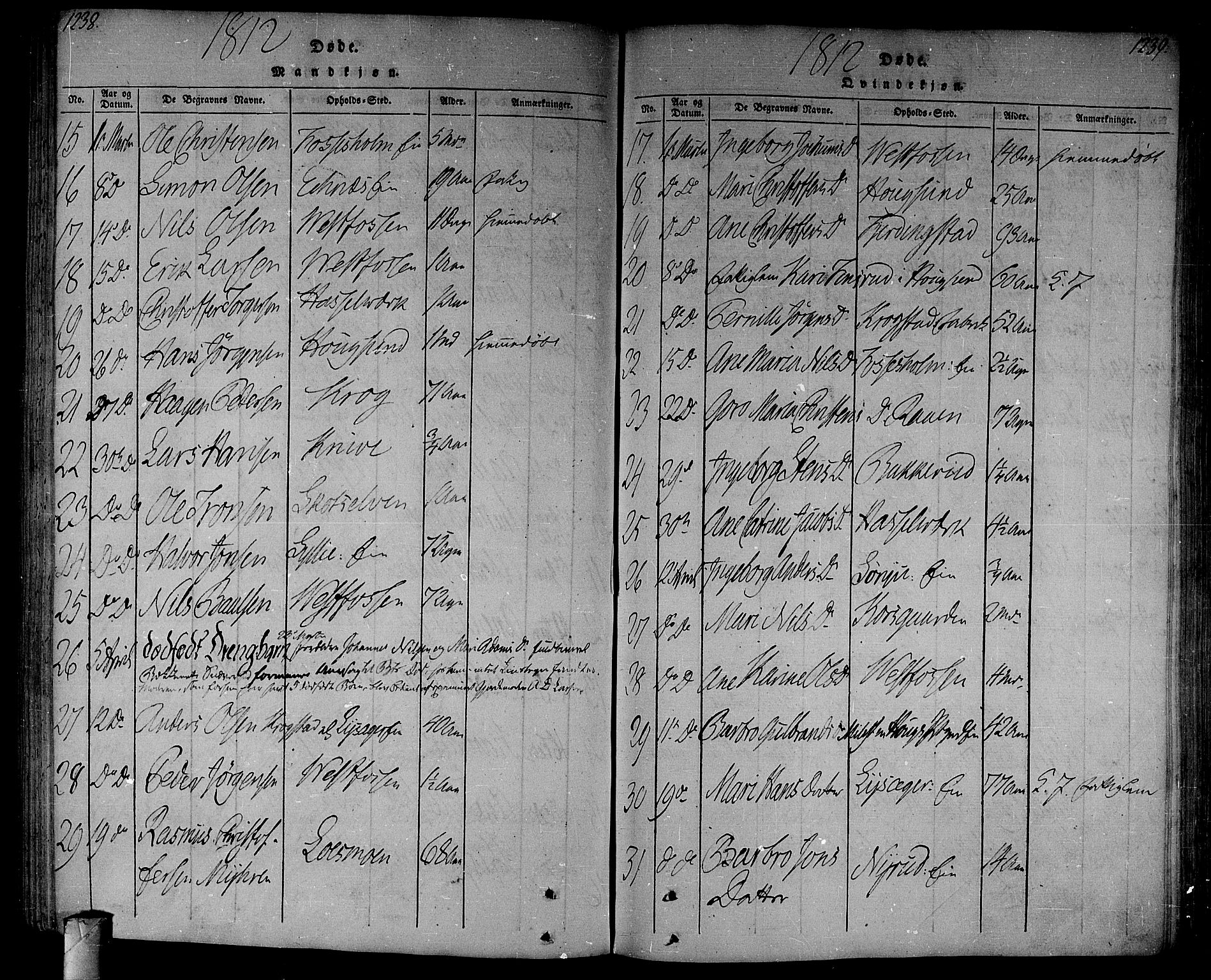 Eiker kirkebøker, AV/SAKO-A-4/F/Fa/L0010: Parish register (official) no. I 10, 1806-1815, p. 1238-1239