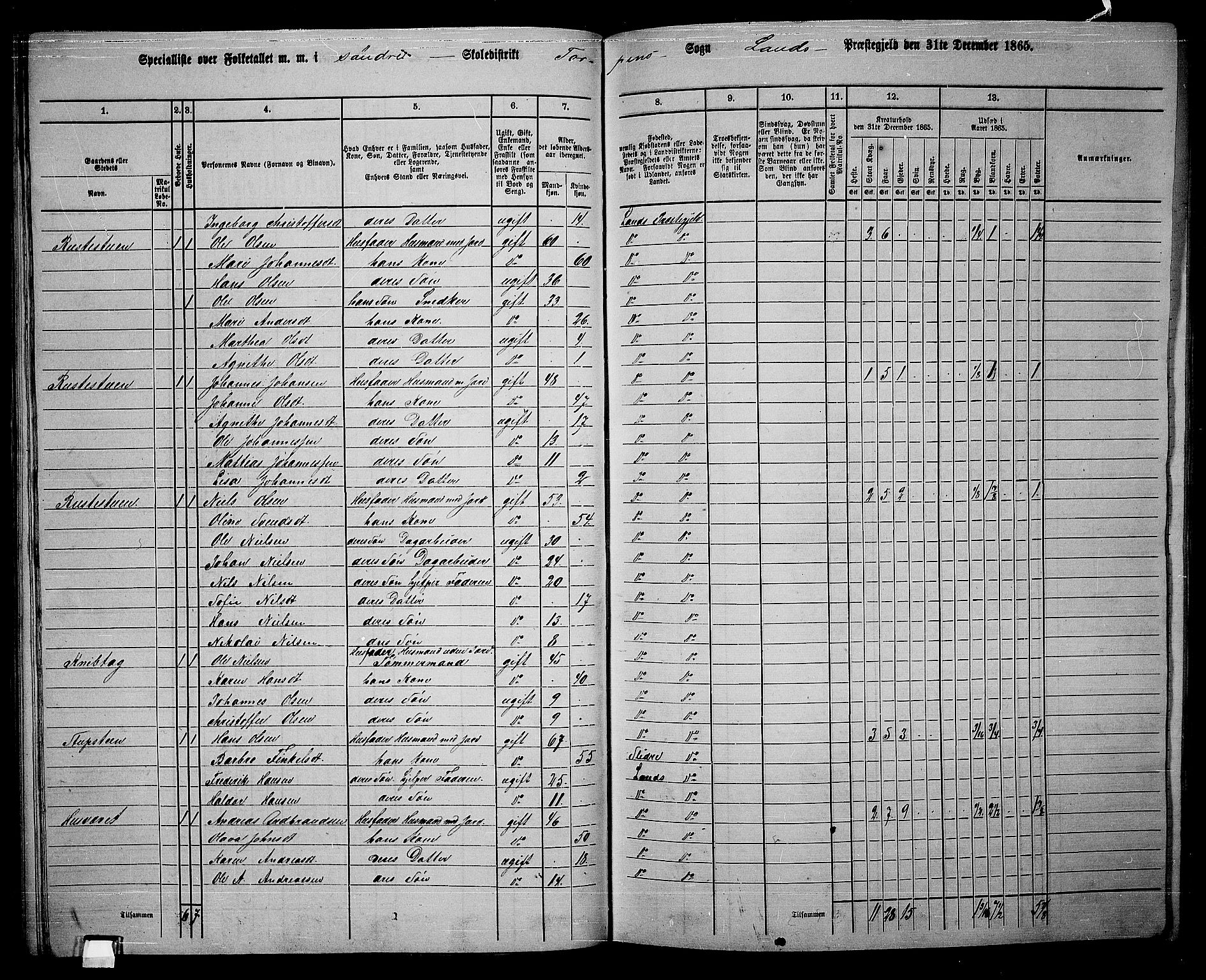 RA, 1865 census for Land, 1865, p. 80