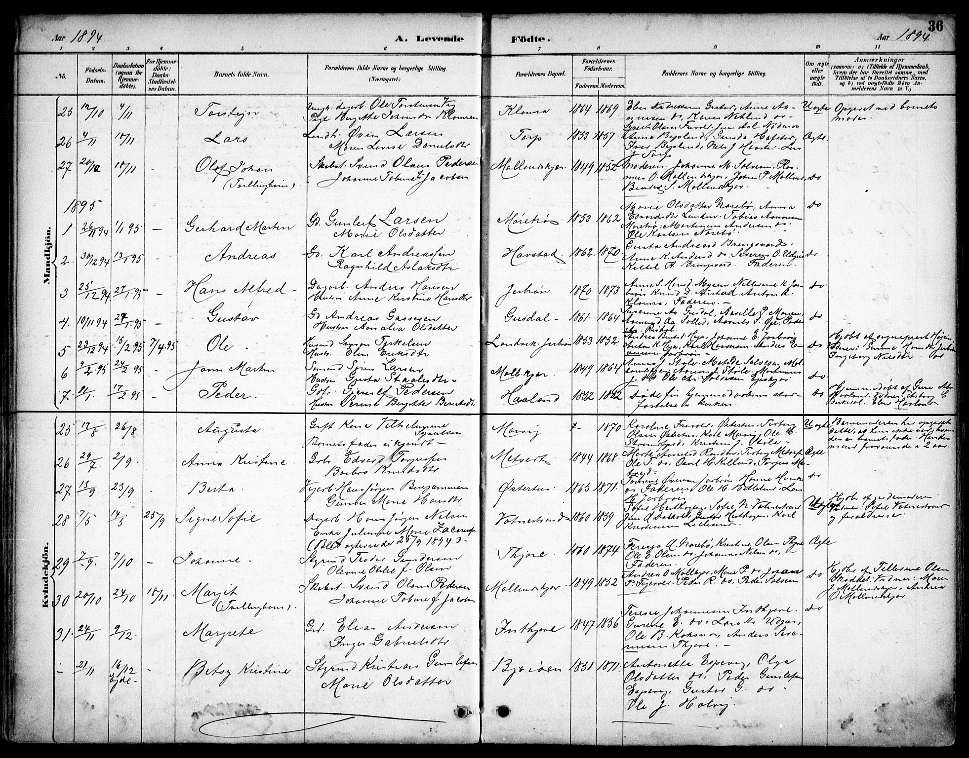 Hommedal sokneprestkontor, AV/SAK-1111-0023/F/Fb/Fbb/L0007: Parish register (copy) no. B 7, 1885-1904, p. 36