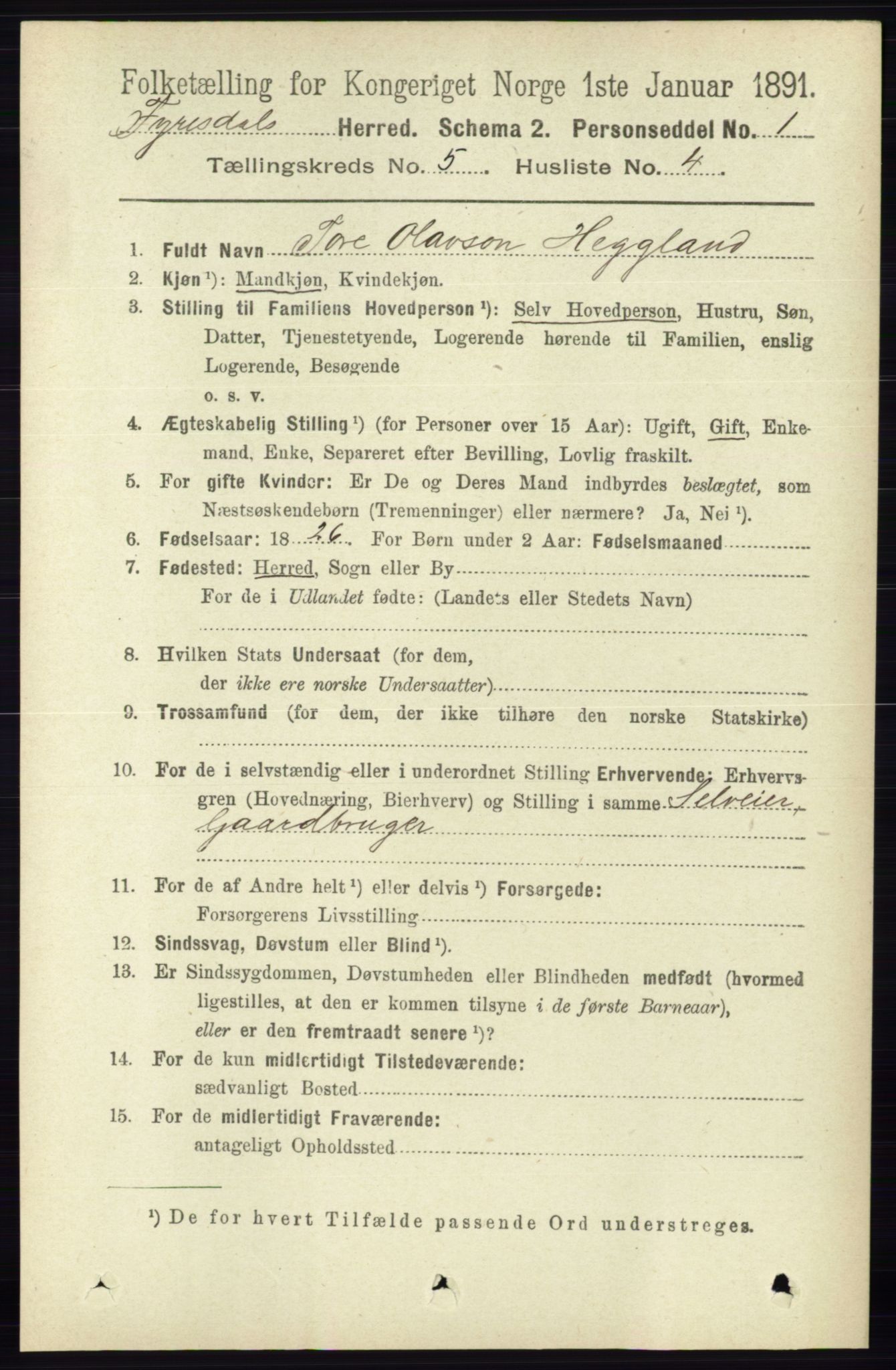 RA, 1891 census for 0831 Fyresdal, 1891, p. 1305