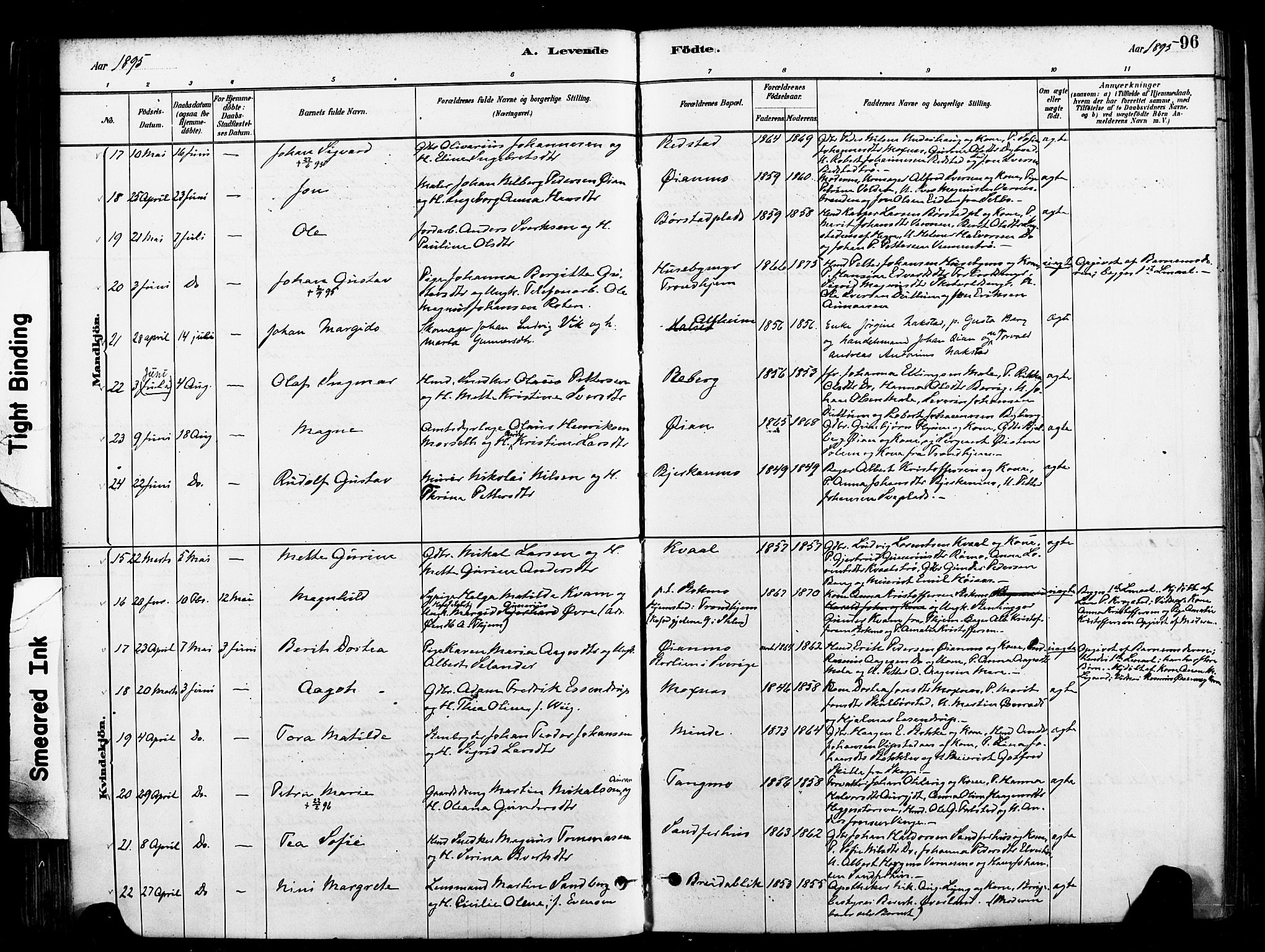 Ministerialprotokoller, klokkerbøker og fødselsregistre - Nord-Trøndelag, AV/SAT-A-1458/709/L0077: Parish register (official) no. 709A17, 1880-1895, p. 96