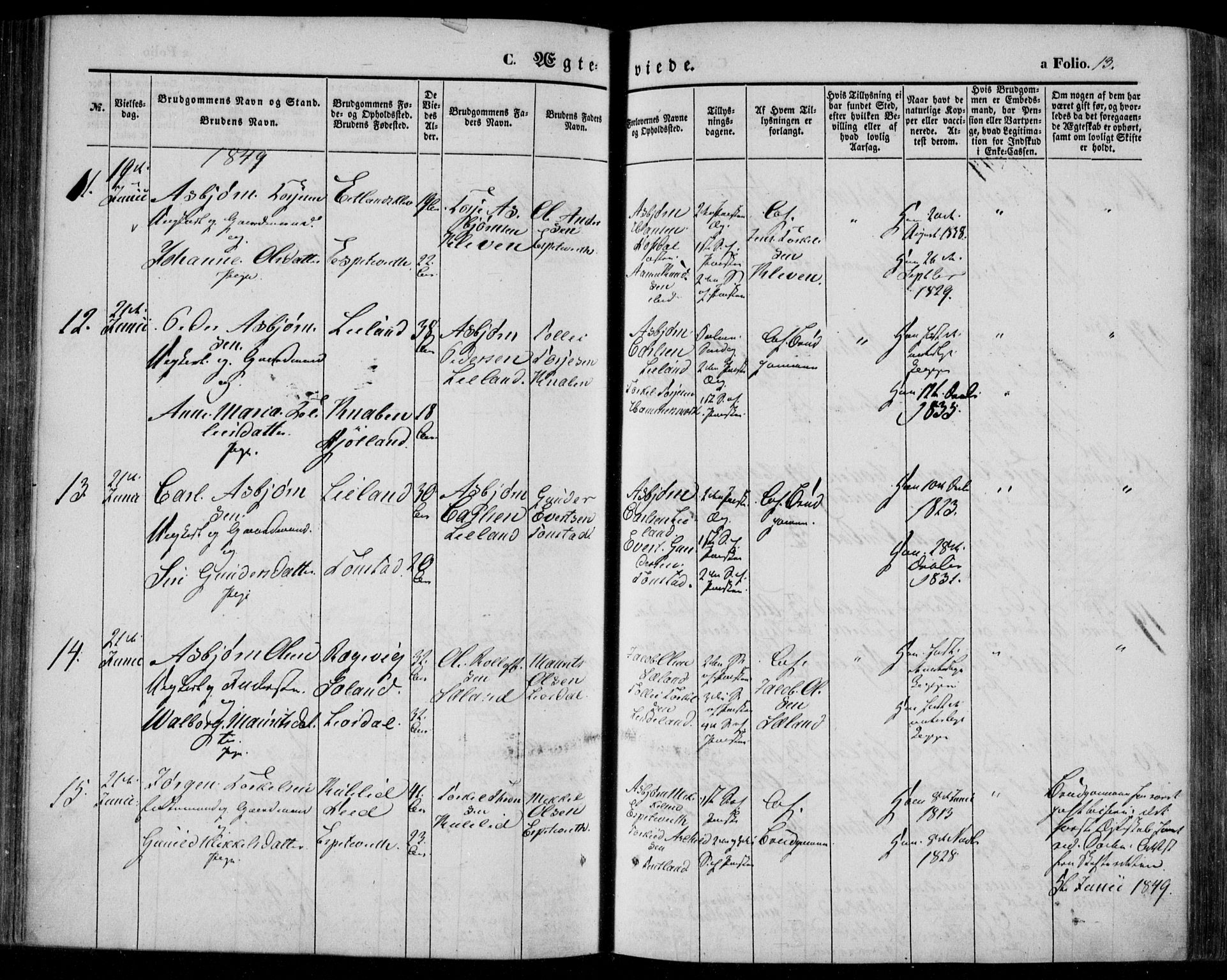 Bakke sokneprestkontor, SAK/1111-0002/F/Fa/Faa/L0005: Parish register (official) no. A 5, 1847-1855, p. 13