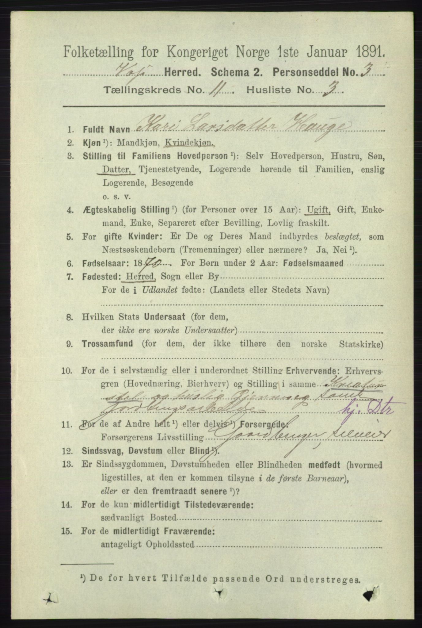 RA, 1891 census for 1235 Voss, 1891, p. 5845