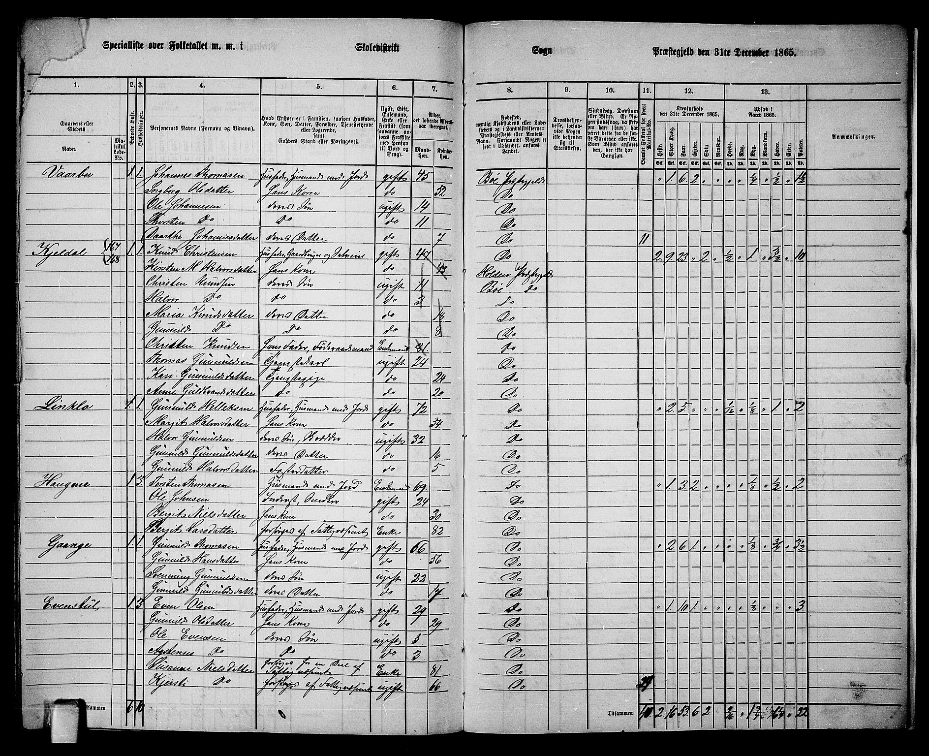 RA, 1865 census for Bø, 1865, p. 213