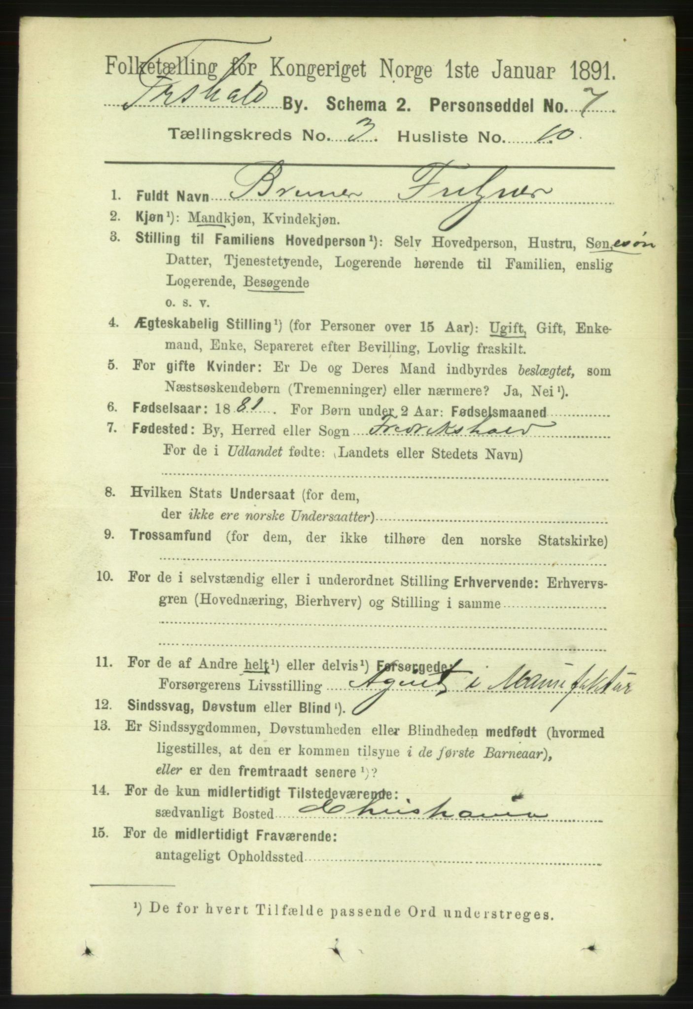 RA, 1891 census for 0101 Fredrikshald, 1891, p. 3357