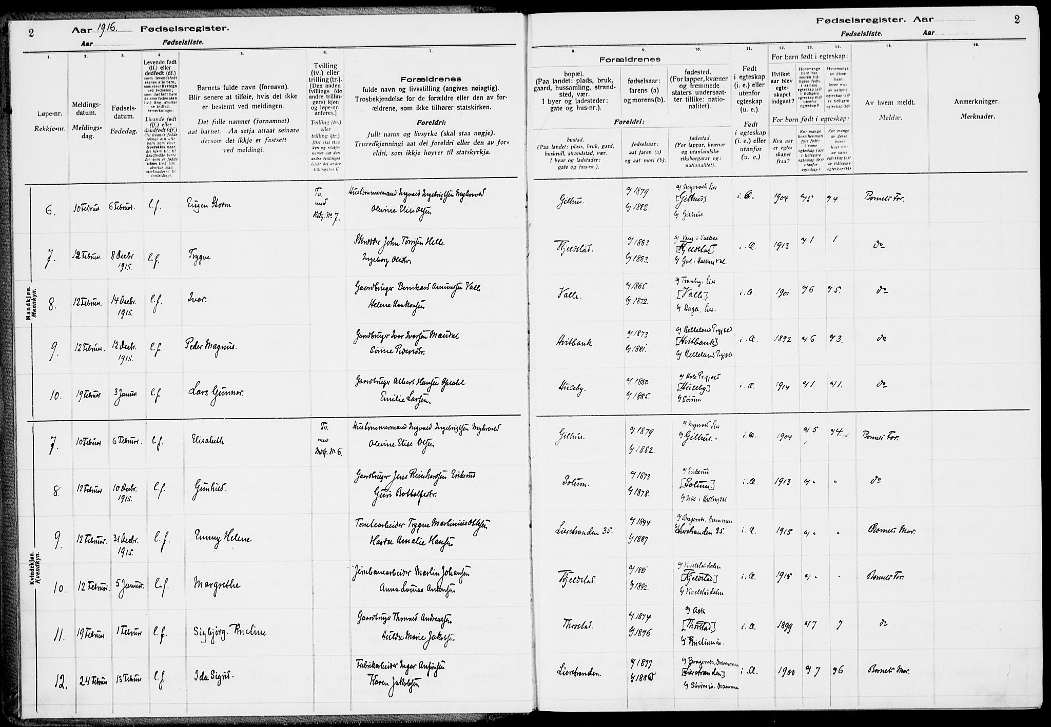 Lier kirkebøker, SAKO/A-230/J/Ja/L0001: Birth register no. 1, 1916-1928, p. 2