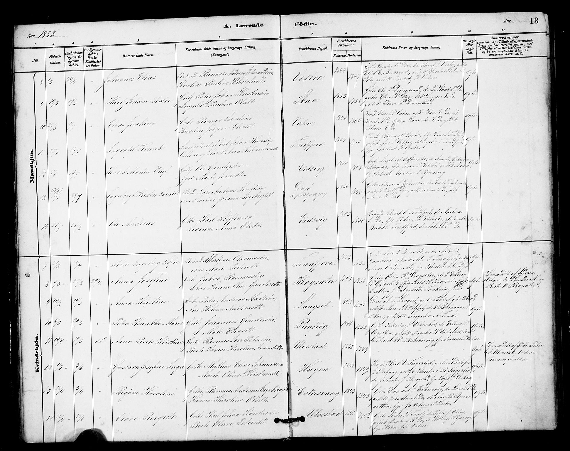 Ministerialprotokoller, klokkerbøker og fødselsregistre - Møre og Romsdal, AV/SAT-A-1454/525/L0376: Parish register (copy) no. 525C02, 1880-1902, p. 13