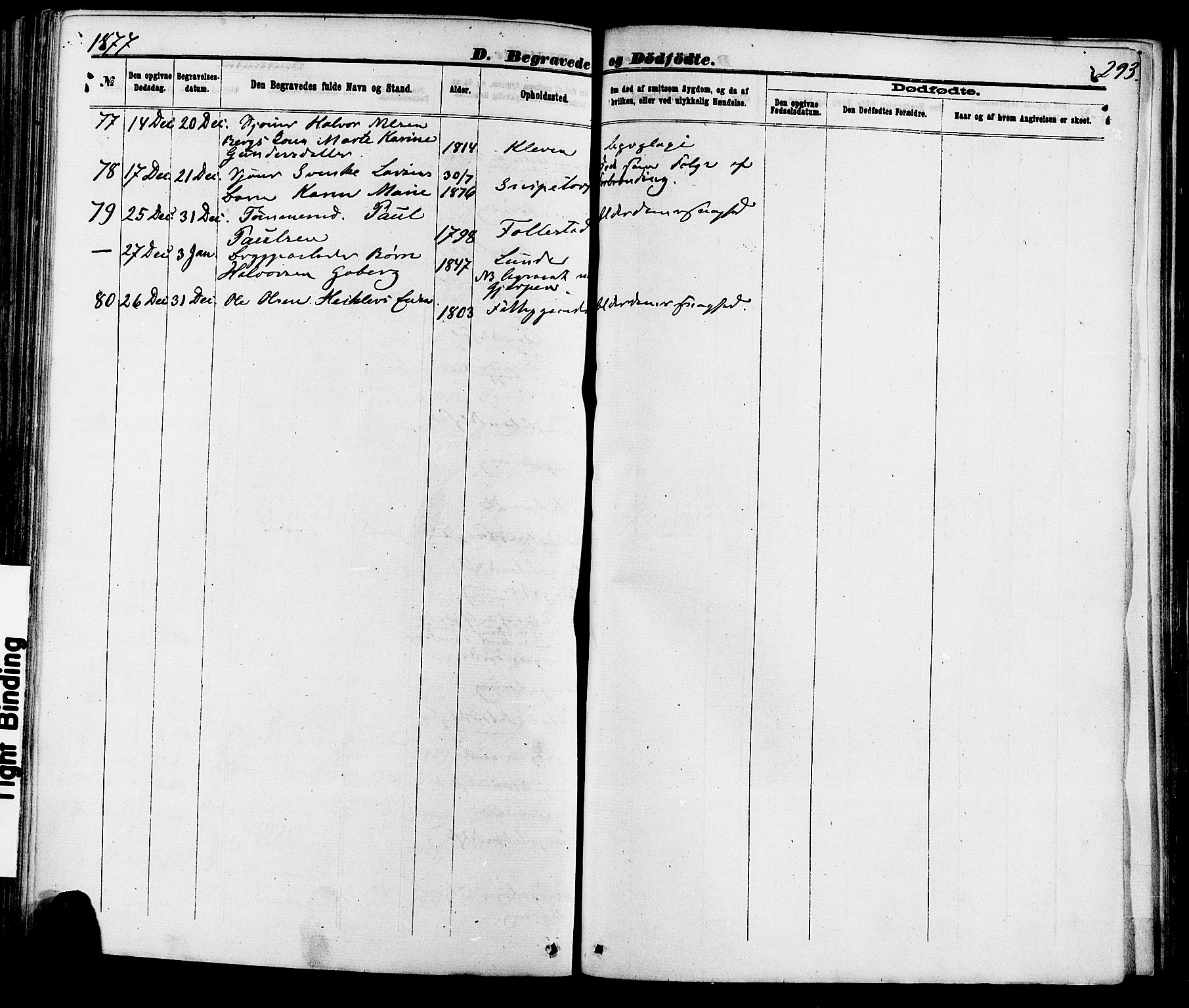 Skien kirkebøker, AV/SAKO-A-302/F/Fa/L0008: Parish register (official) no. 8, 1866-1877, p. 293