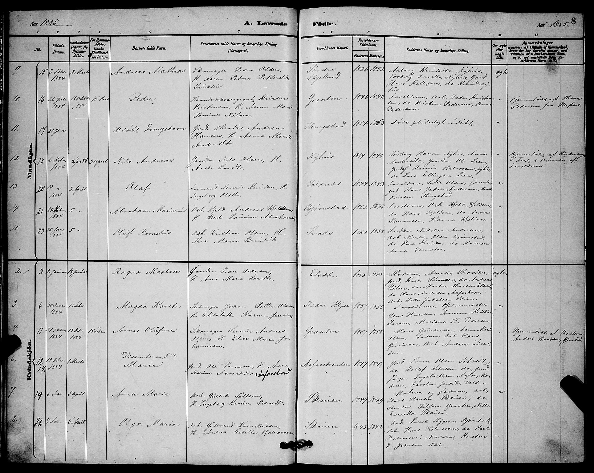 Solum kirkebøker, SAKO/A-306/G/Ga/L0007: Parish register (copy) no. I 7, 1884-1898, p. 8