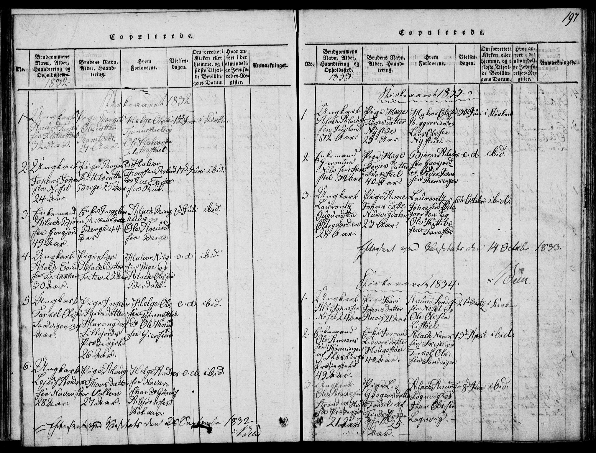 Rauland kirkebøker, SAKO/A-292/G/Ga/L0001: Parish register (copy) no. I 1, 1814-1843, p. 197
