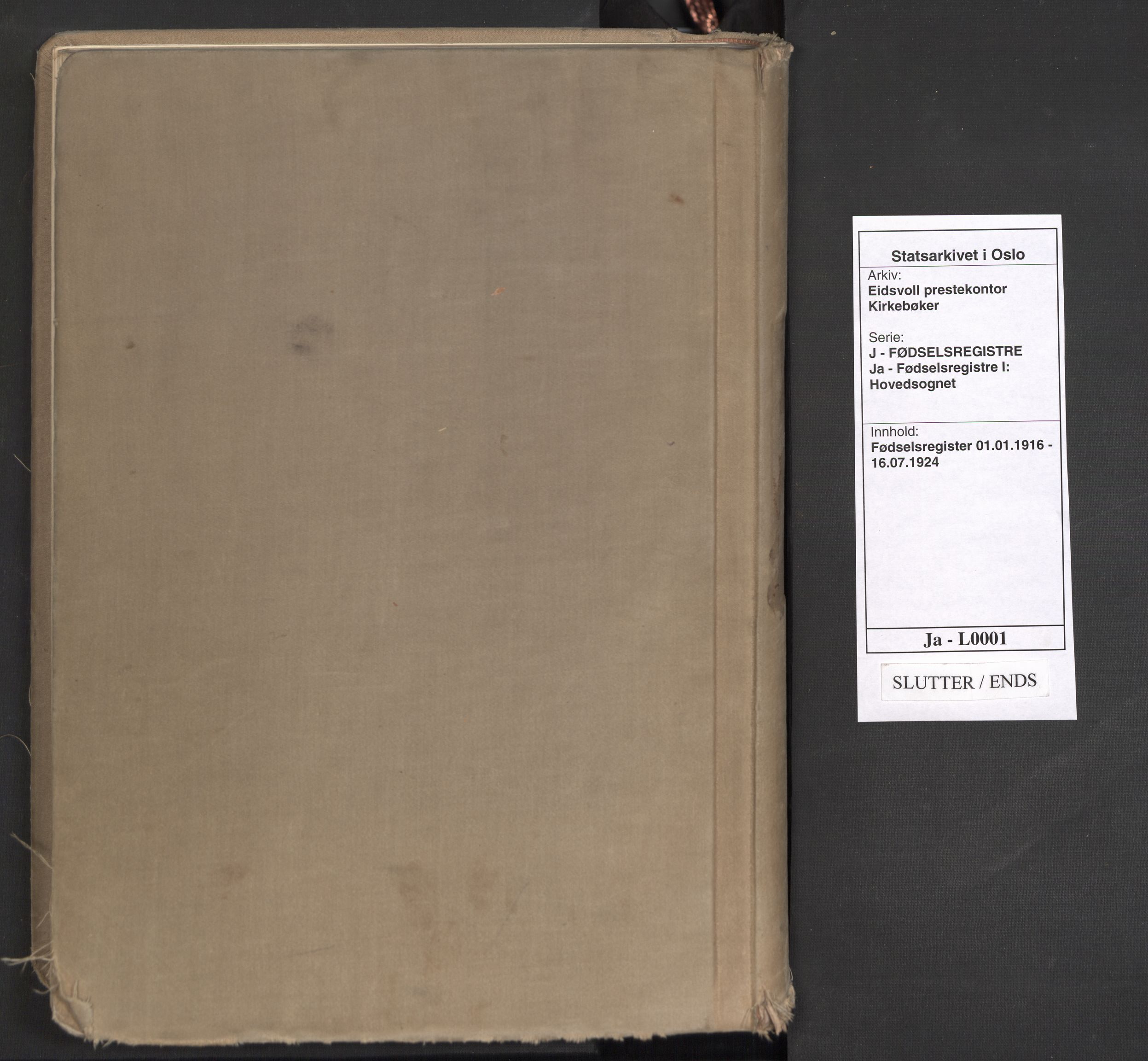 Eidsvoll prestekontor Kirkebøker, AV/SAO-A-10888/J/Ja/L0001: Birth register no. I 1, 1916-1924