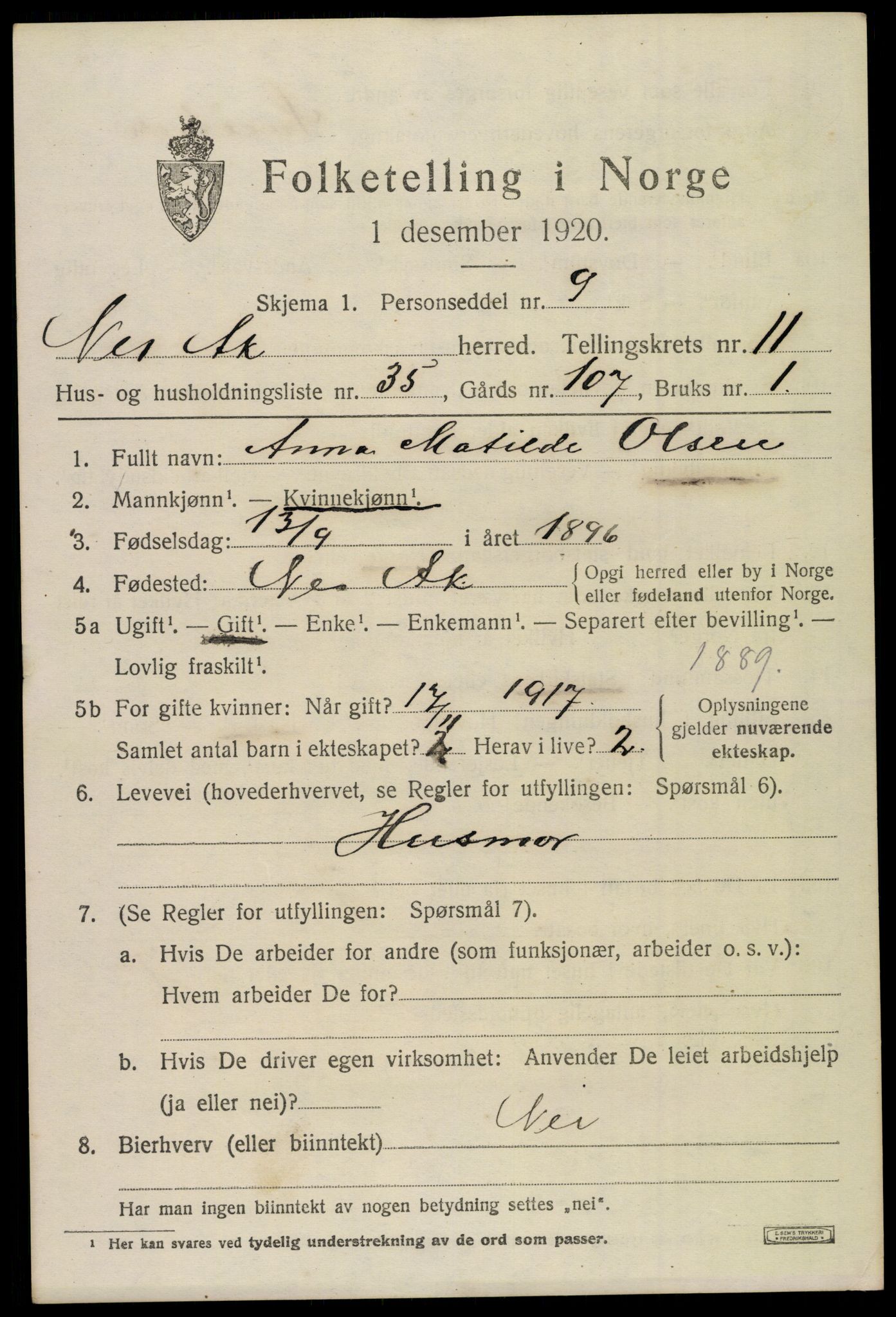 SAO, 1920 census for Nes, 1920, p. 11836