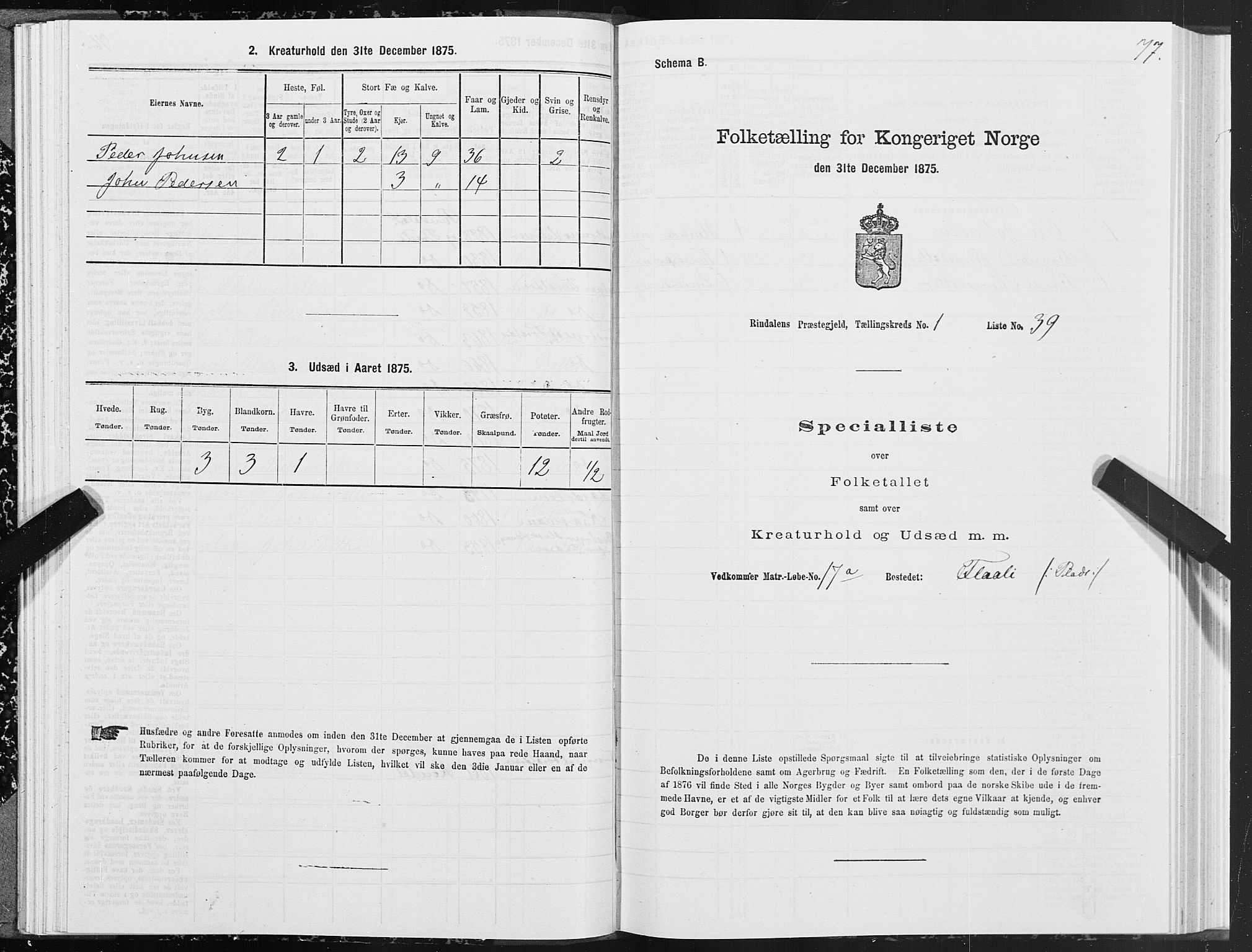 SAT, 1875 census for 1567P Rindal, 1875, p. 1077