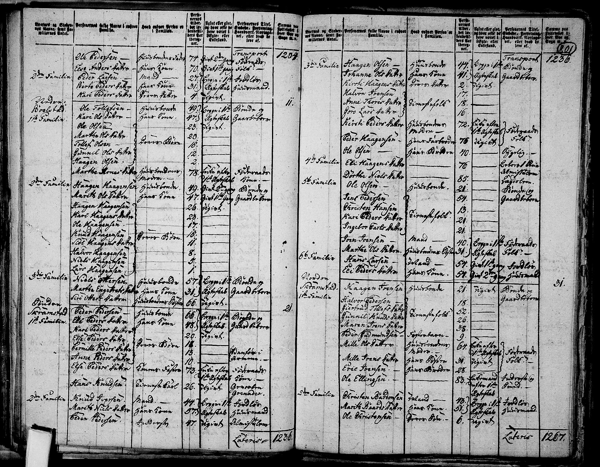 RA, 1801 census for 0429P Åmot, 1801, p. 800b-801a