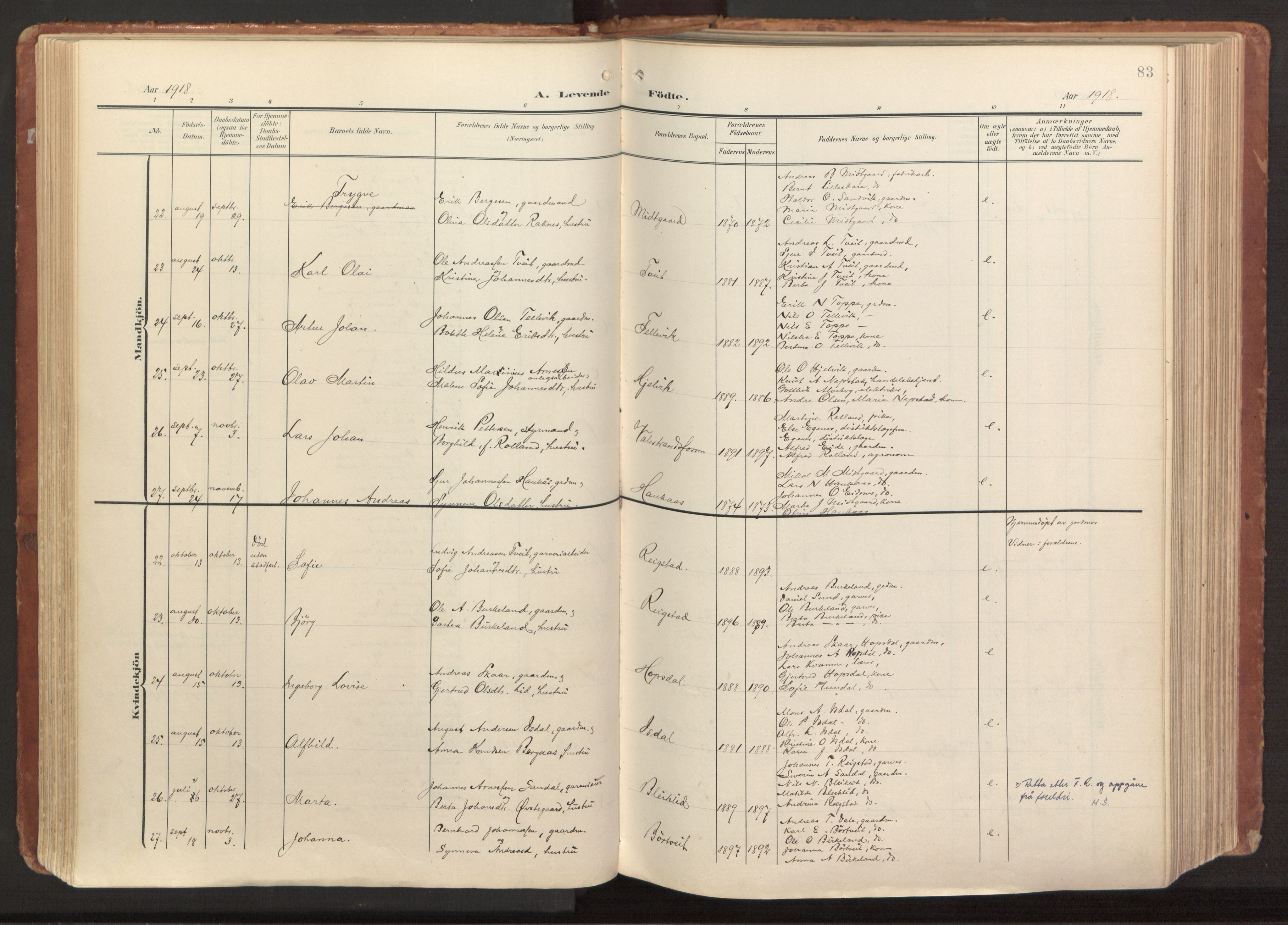 Hamre sokneprestembete, AV/SAB-A-75501/H/Ha/Haa/Haab/L0002: Parish register (official) no. B 2, 1905-1924, p. 83