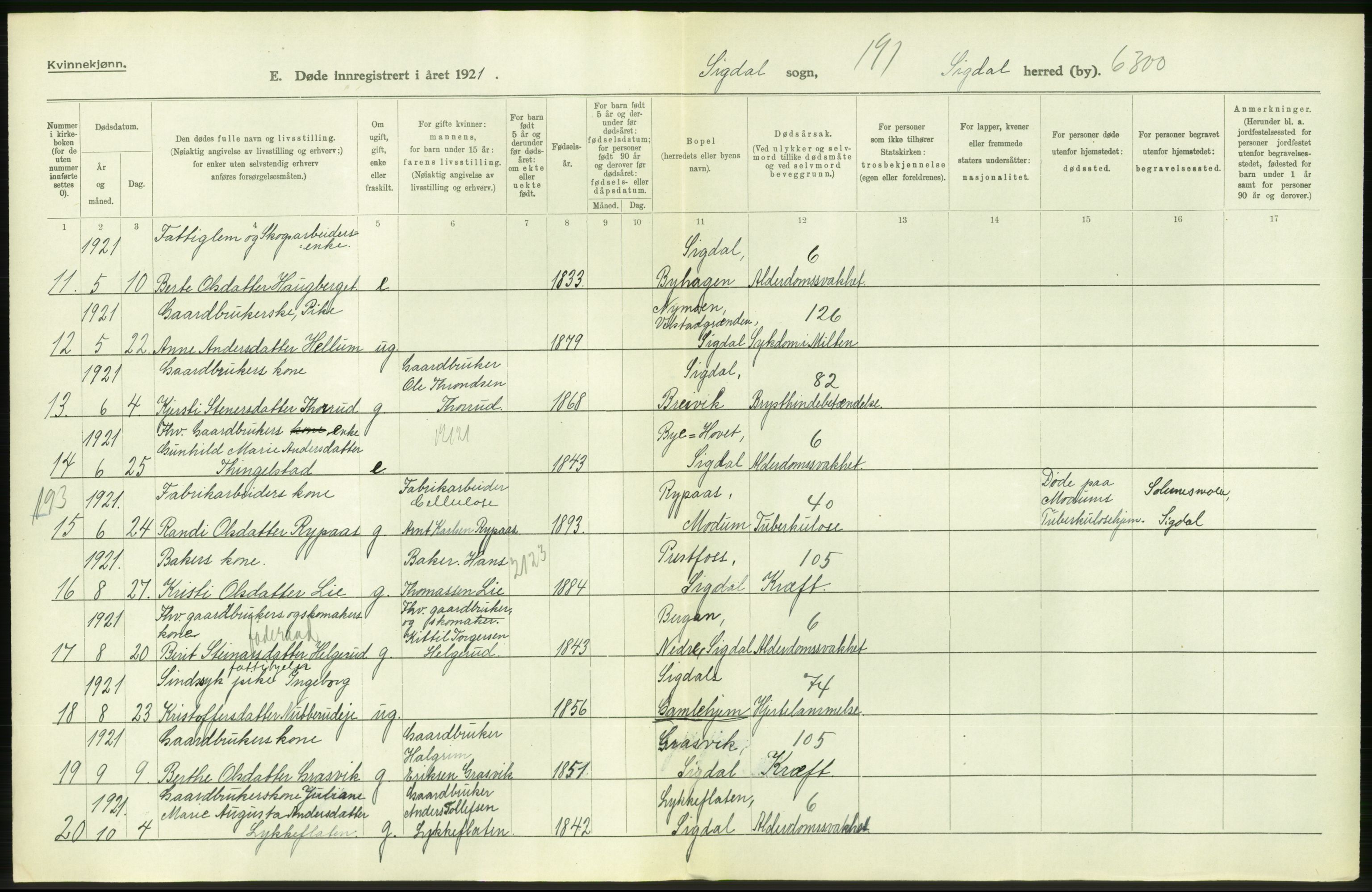 Statistisk sentralbyrå, Sosiodemografiske emner, Befolkning, AV/RA-S-2228/D/Df/Dfc/Dfca/L0020: Buskerud fylke: Døde. Byer og bygder., 1921, p. 220