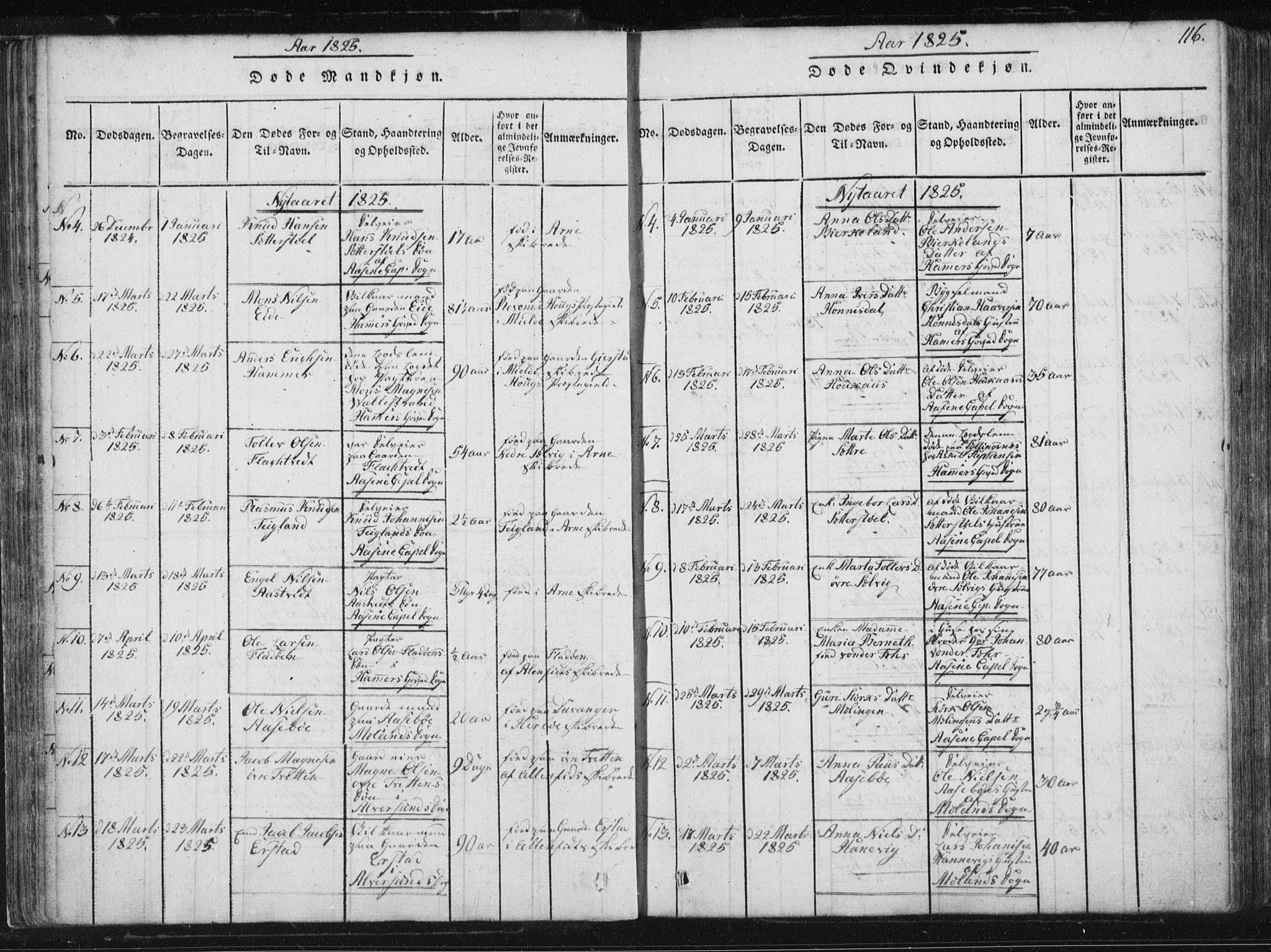 Hamre sokneprestembete, SAB/A-75501/H/Ha/Haa/Haaa/L0010: Parish register (official) no. A 10, 1816-1826, p. 116