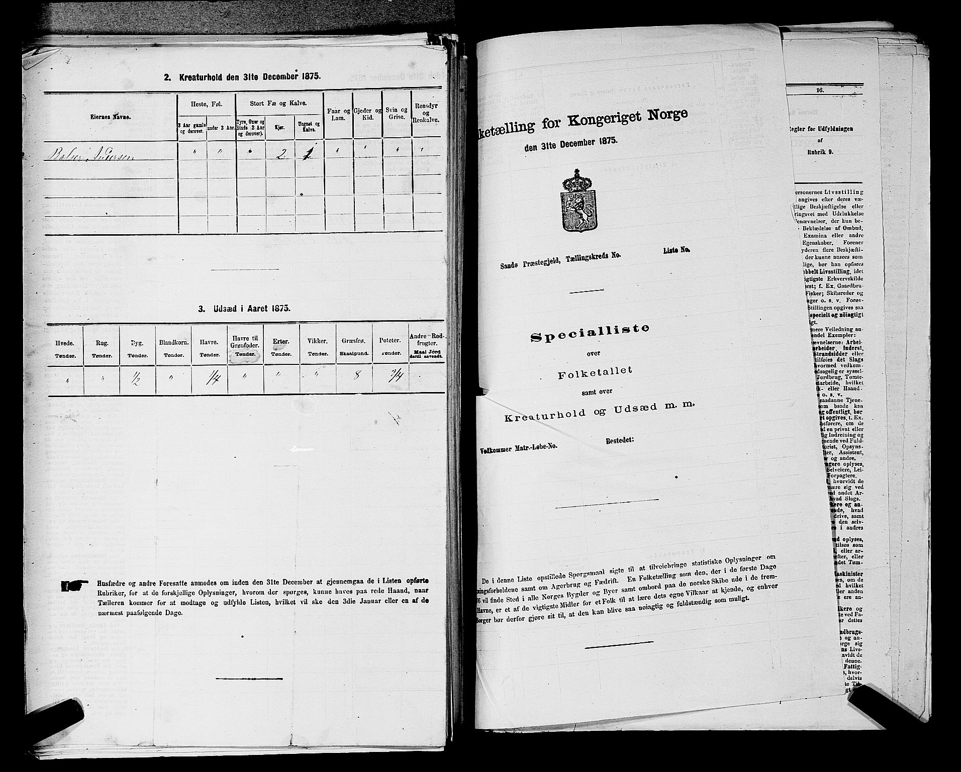 RA, 1875 census for 0229P Enebakk, 1875, p. 265