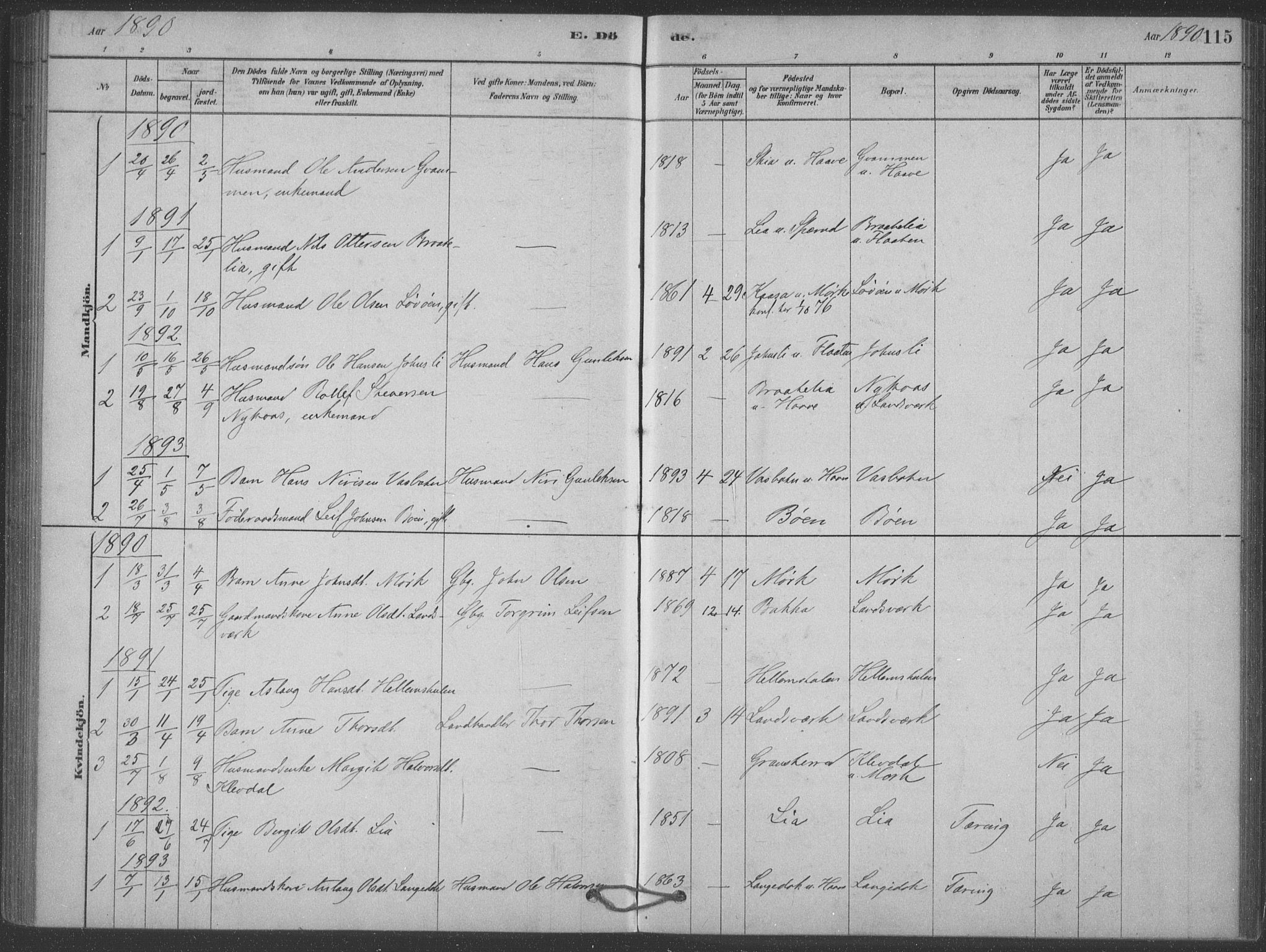 Heddal kirkebøker, SAKO/A-268/F/Fb/L0002: Parish register (official) no. II 2, 1878-1913, p. 115